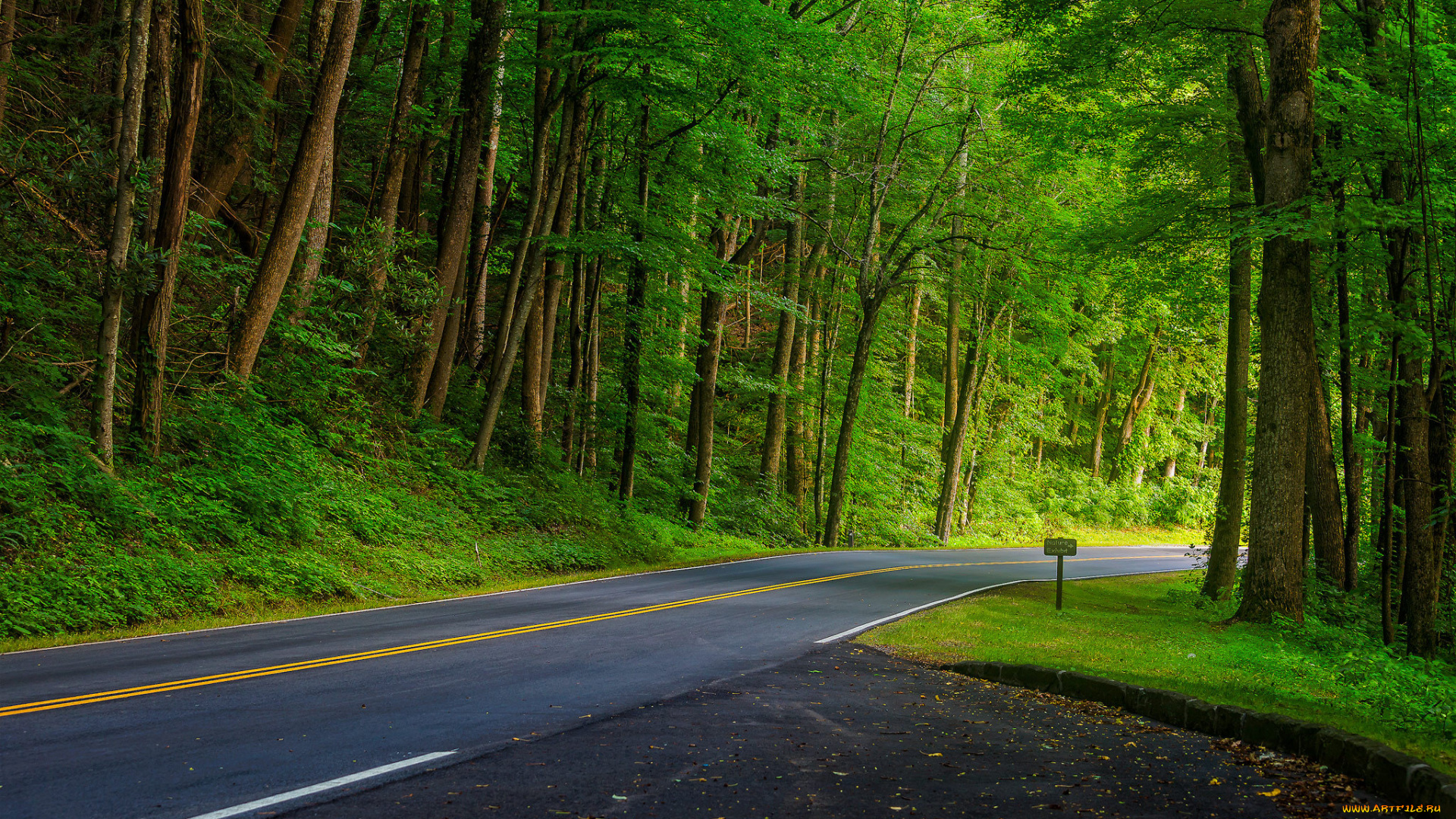 природа, дороги, тракт