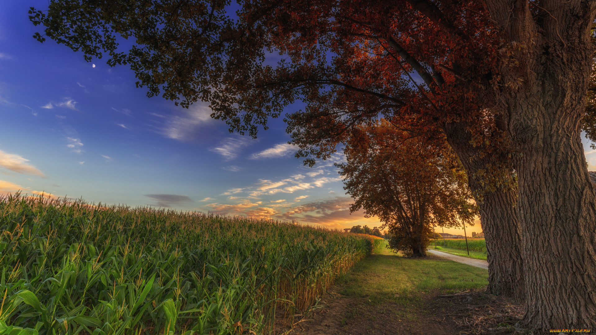 природа, дороги, тракт