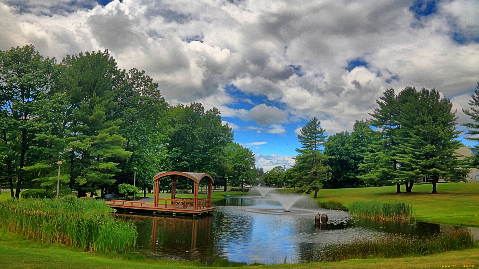 природа, парк, лес, река