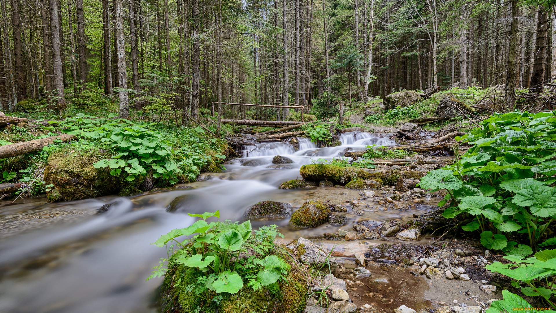 природа, реки, озера