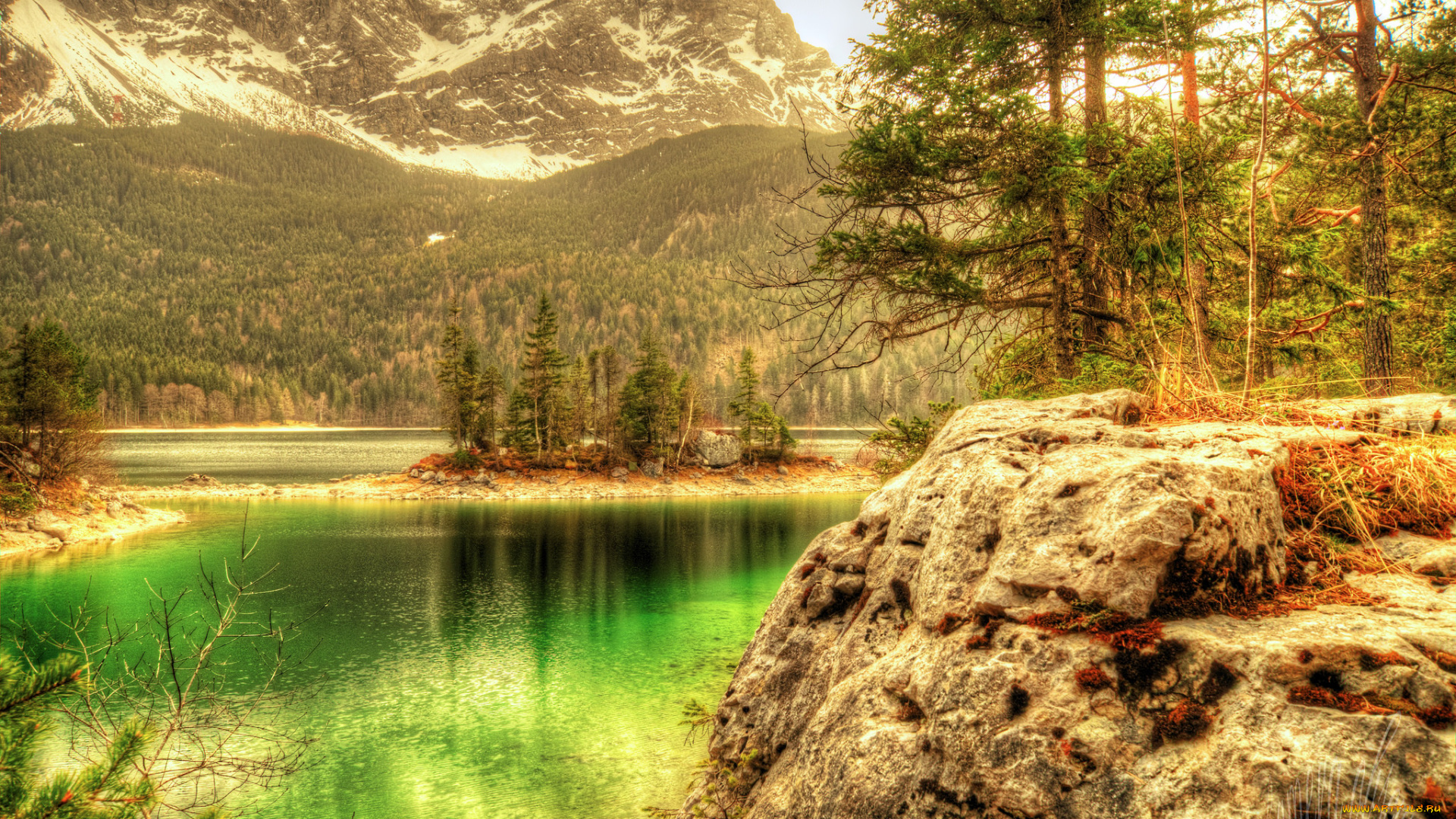 природа, реки, озера, лес, река