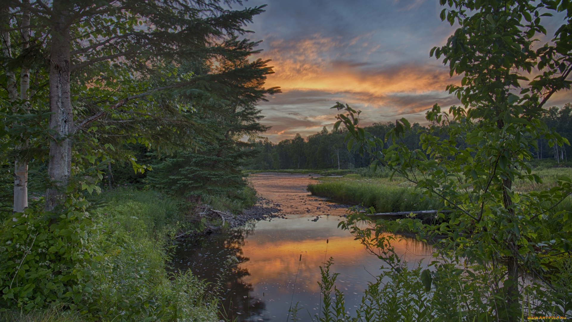 природа, реки, озера, лес, река