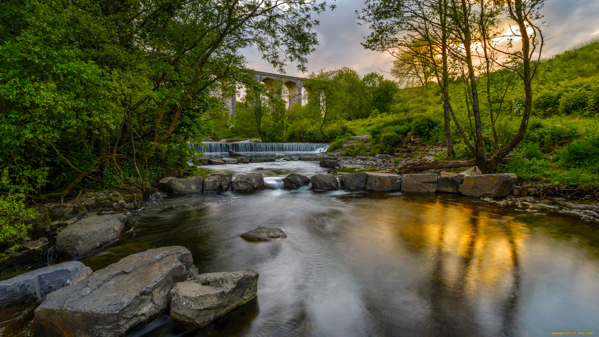 природа, реки, озера, лес, река