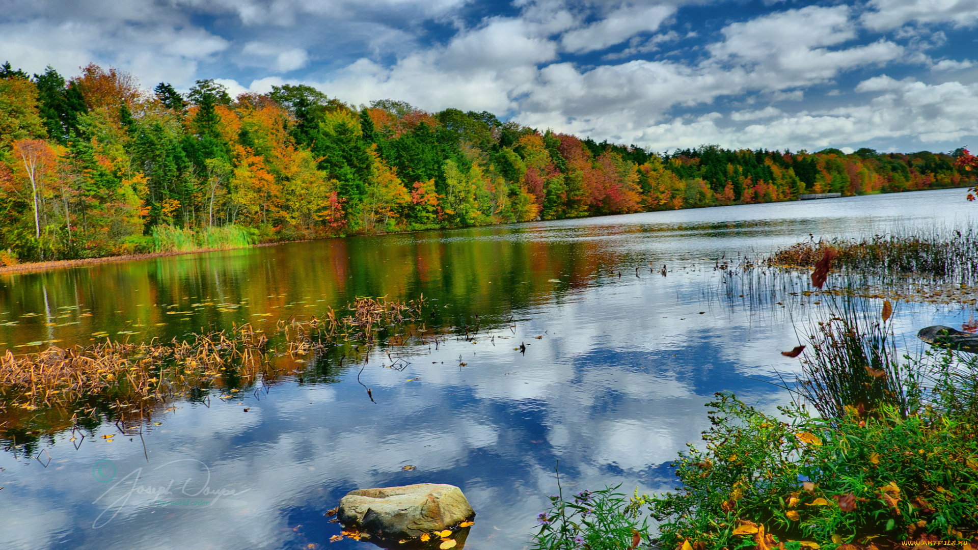 природа, реки, озера, река, лес