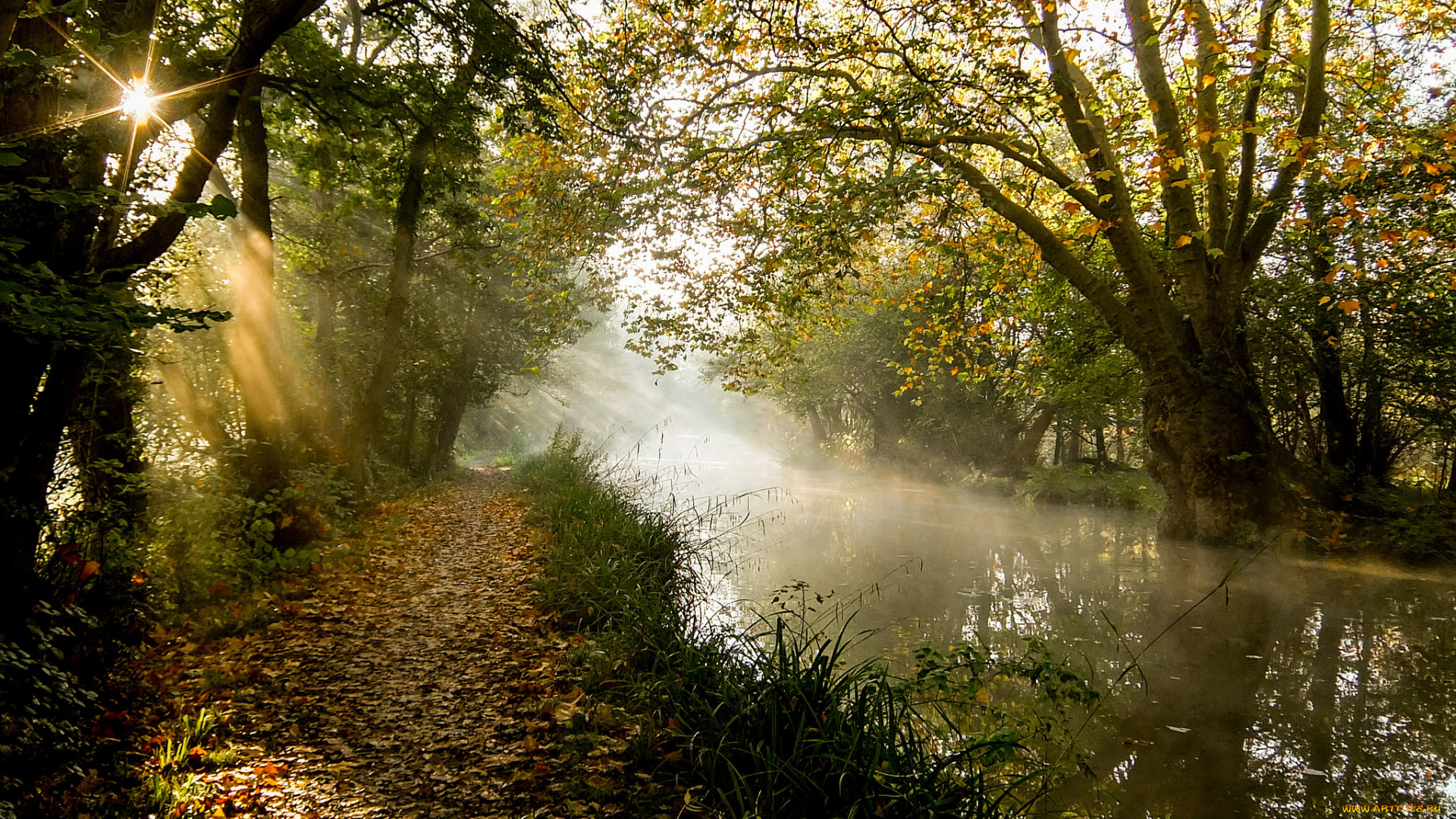 природа, реки, озера, река, лес