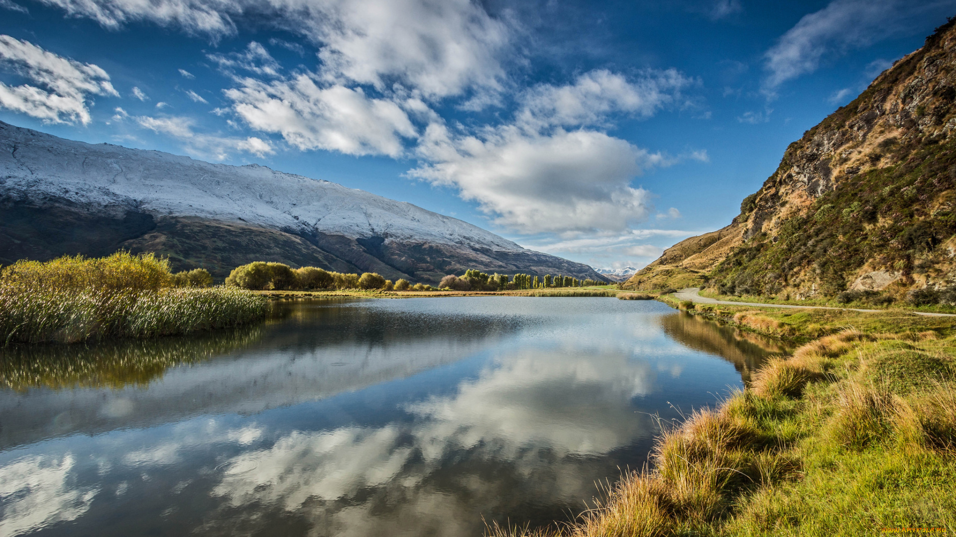 природа, реки, озера, река, лес