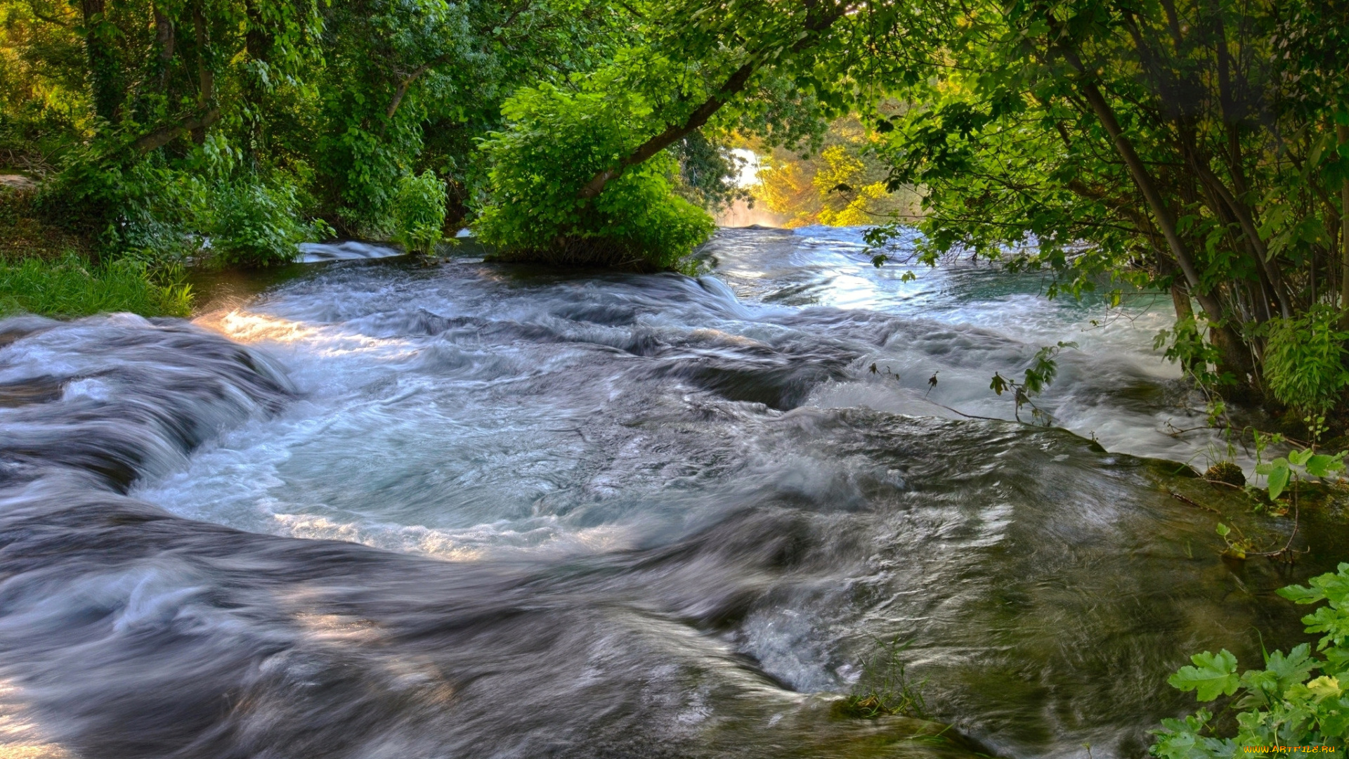 природа, реки, озера, река, лес