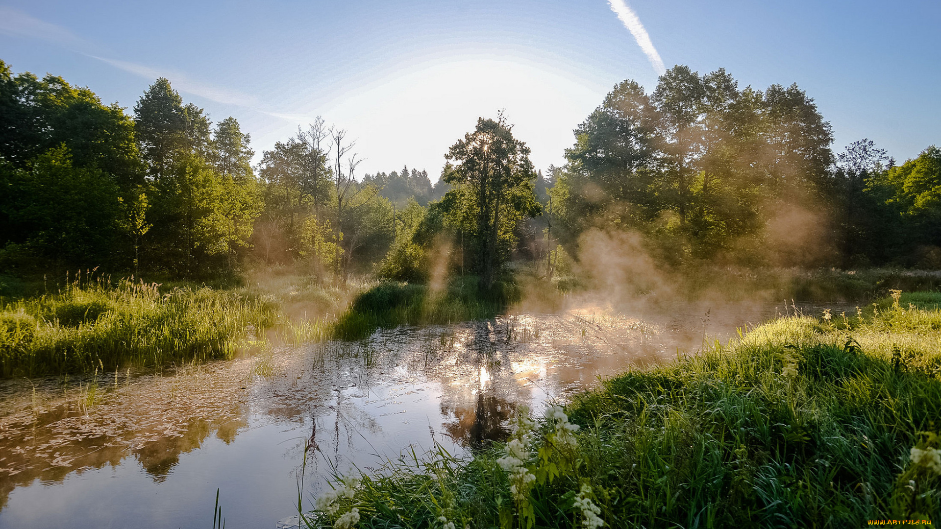 природа, реки, озера, река, лес