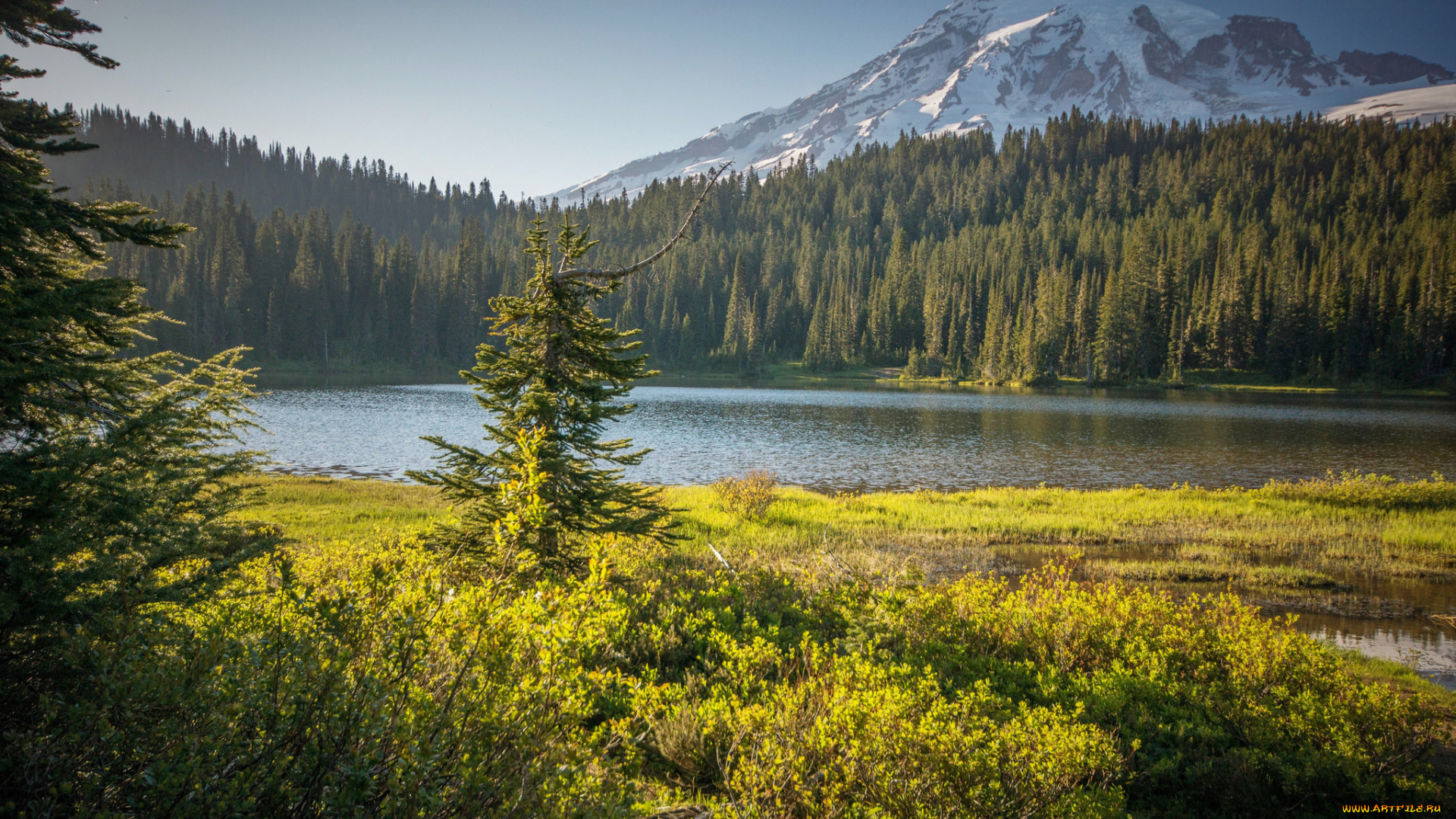 природа, реки, озера, река, лес