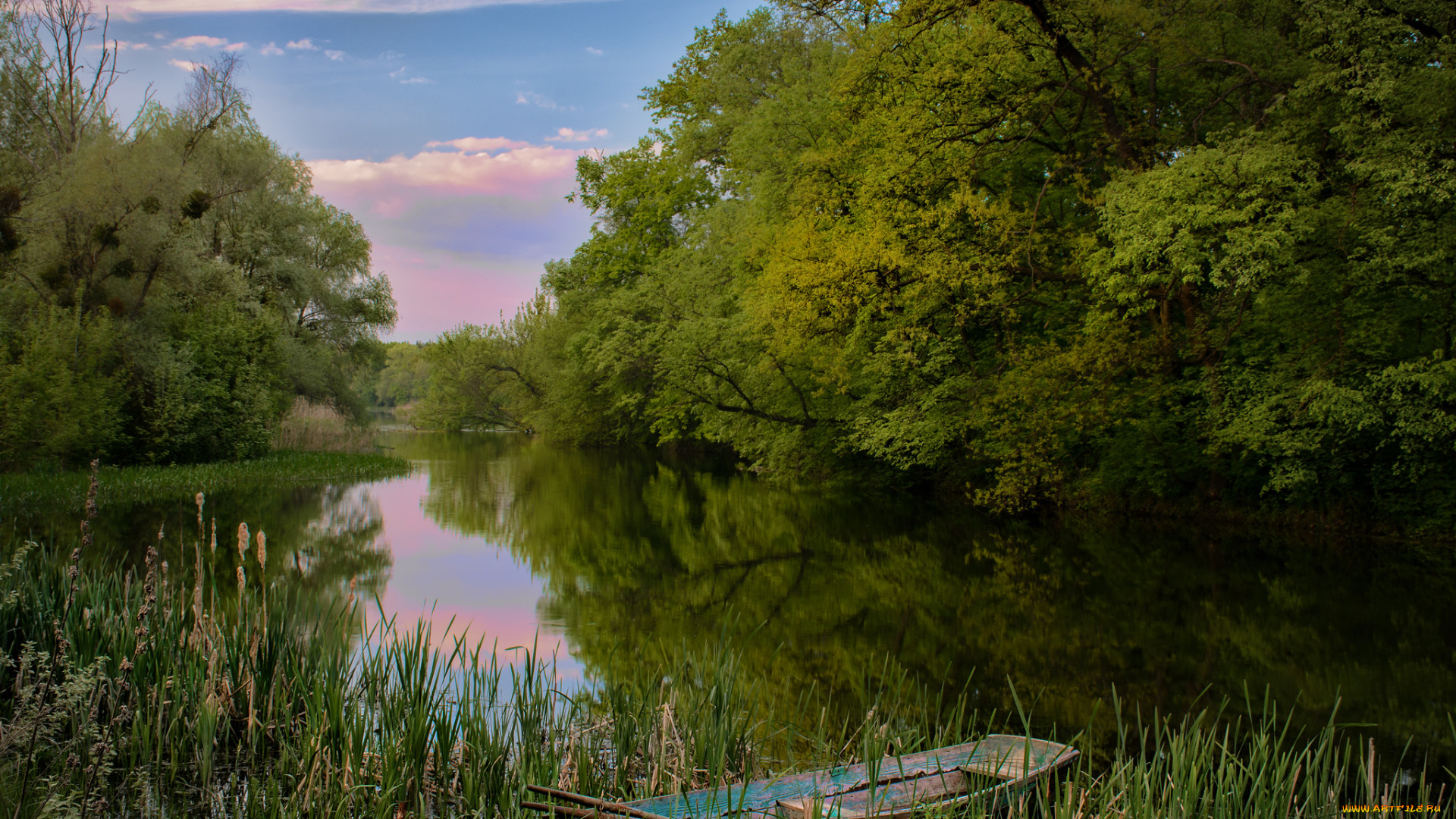 природа, реки, озера, река, лес