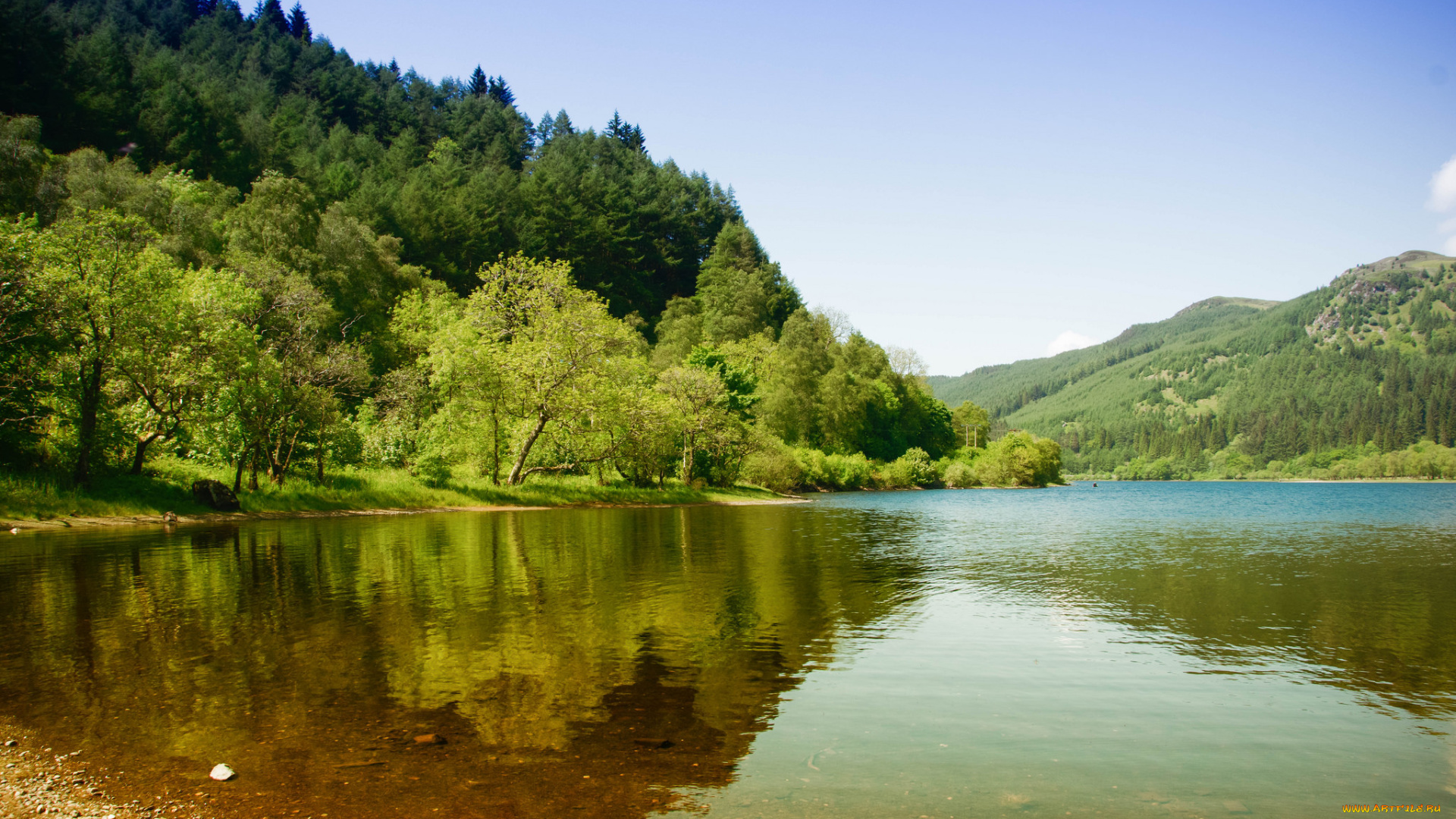 природа, реки, озера, река, лес