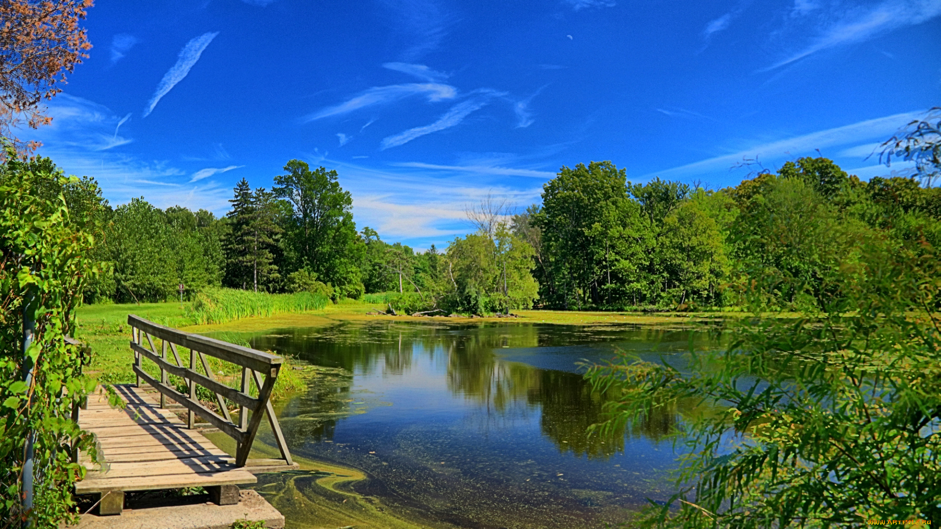 природа, реки, озера, река, лес