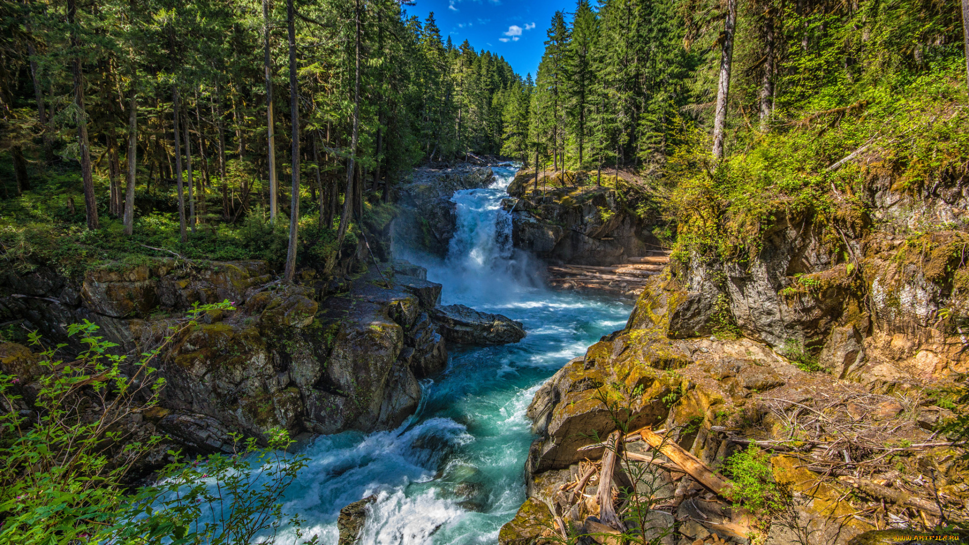 природа, водопады, лес, водопад, река