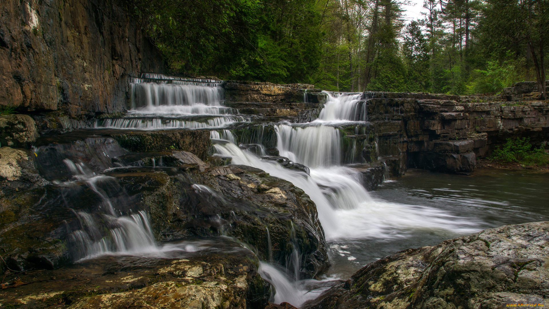 природа, водопады, лес, водопад, река