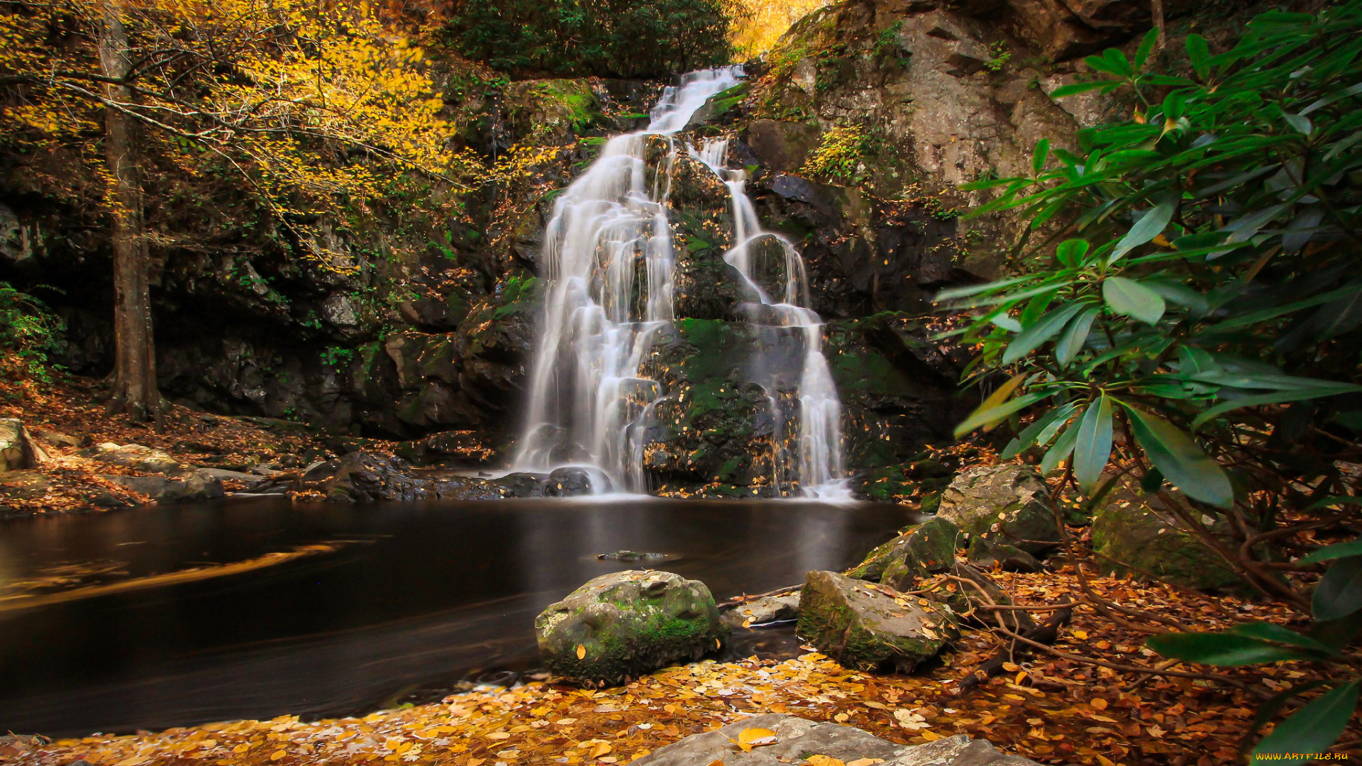 природа, водопады, водопад, река, лес