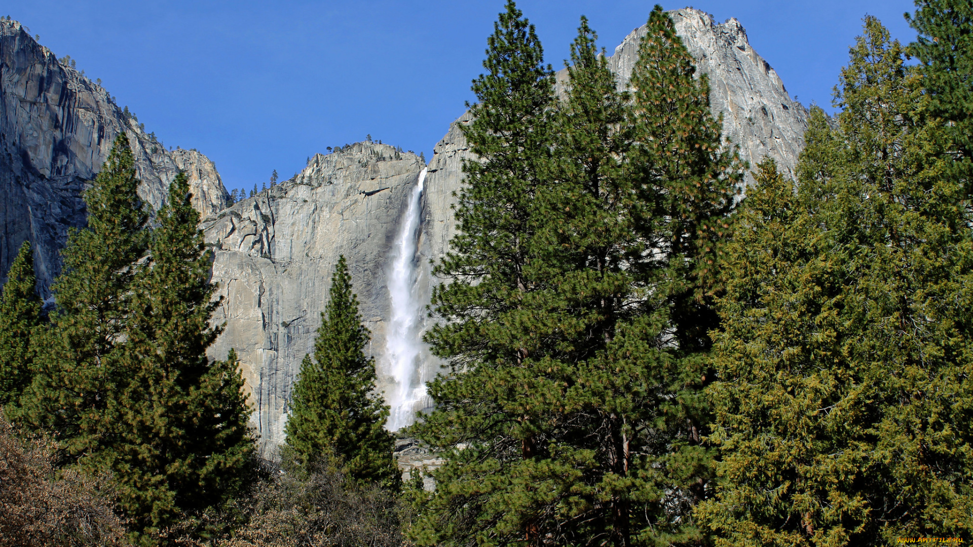 природа, водопады, водопад, река, лес