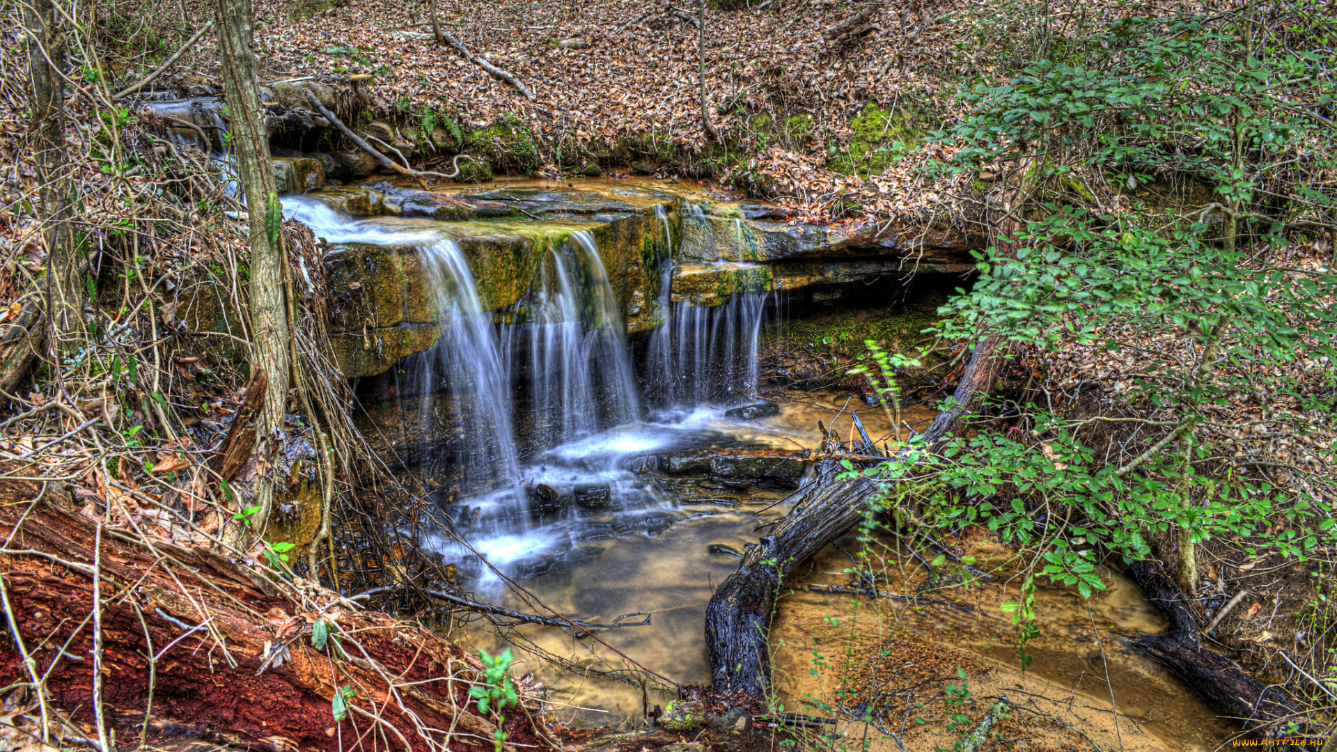 природа, водопады, водопад, река, лес