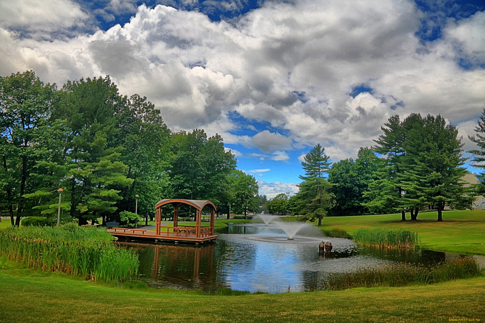 природа, парк, лес, река