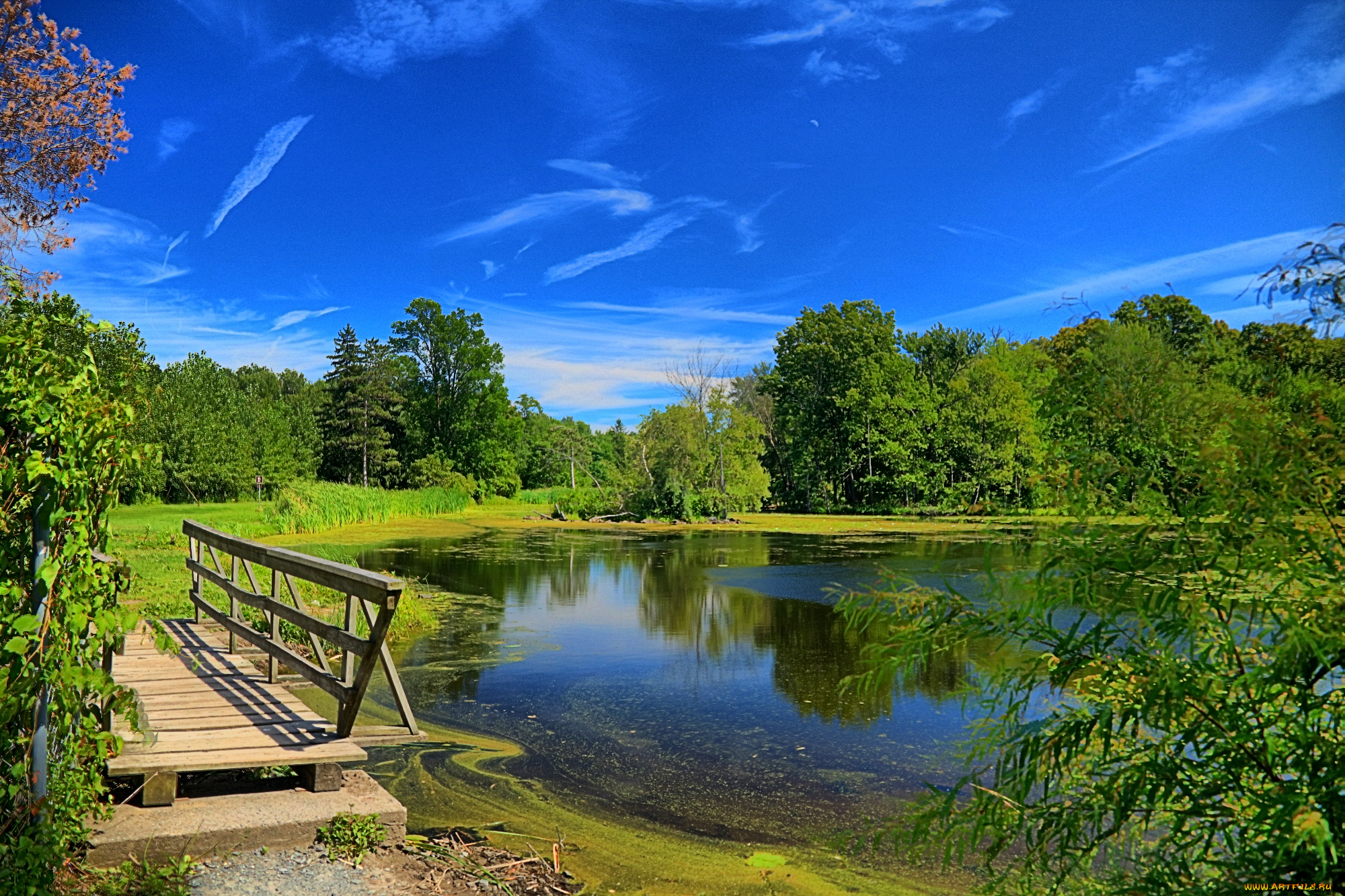 природа, реки, озера, река, лес