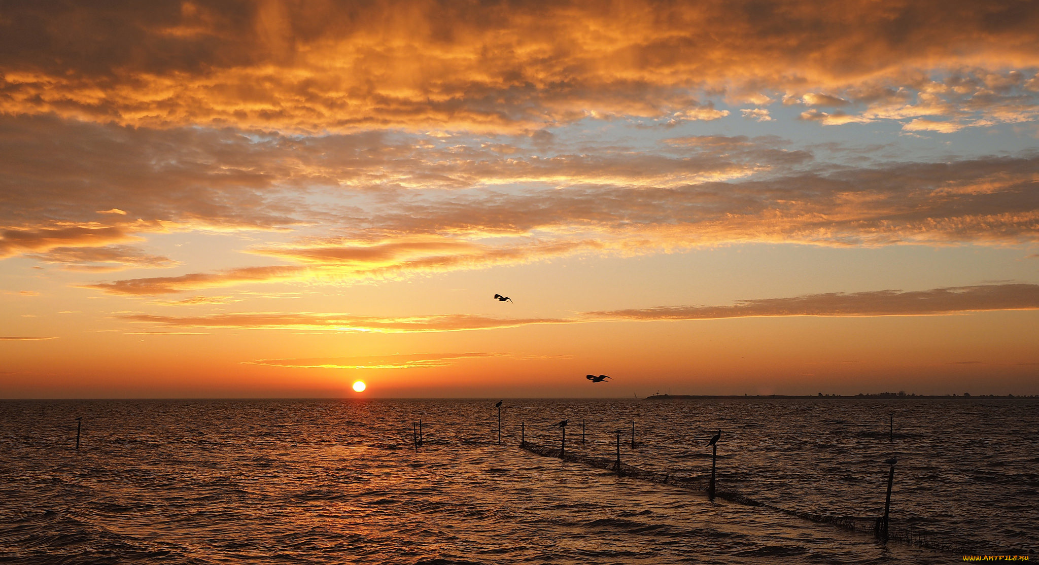 природа, восходы, закаты, рассвет