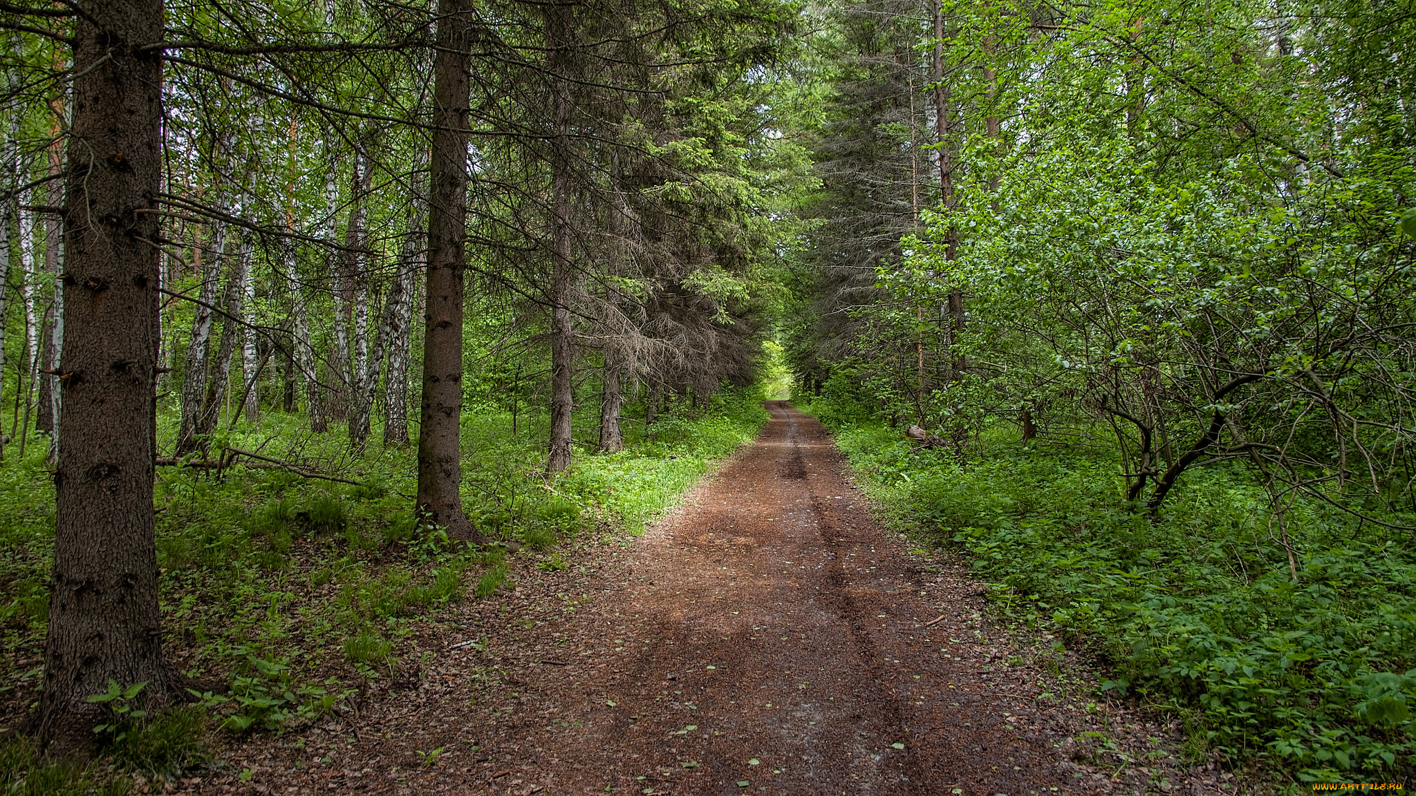природа, дороги, тракт