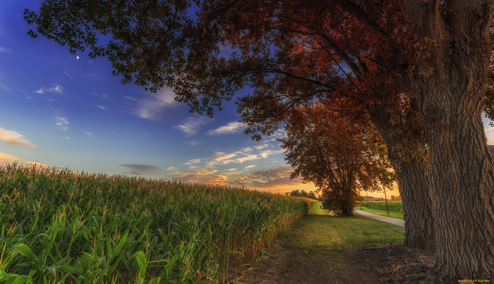 природа, дороги, тракт