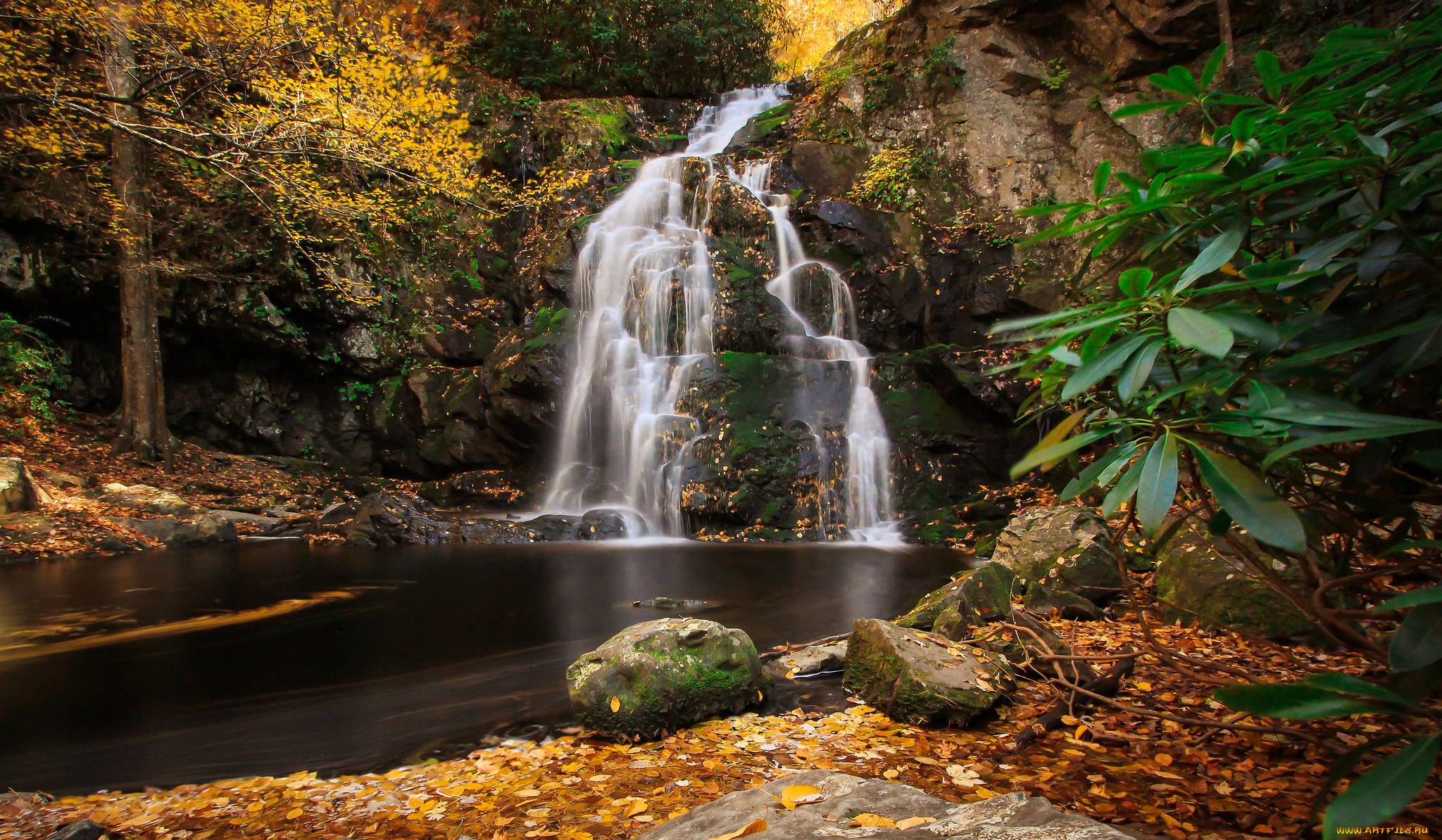 природа, водопады, водопад, река, лес