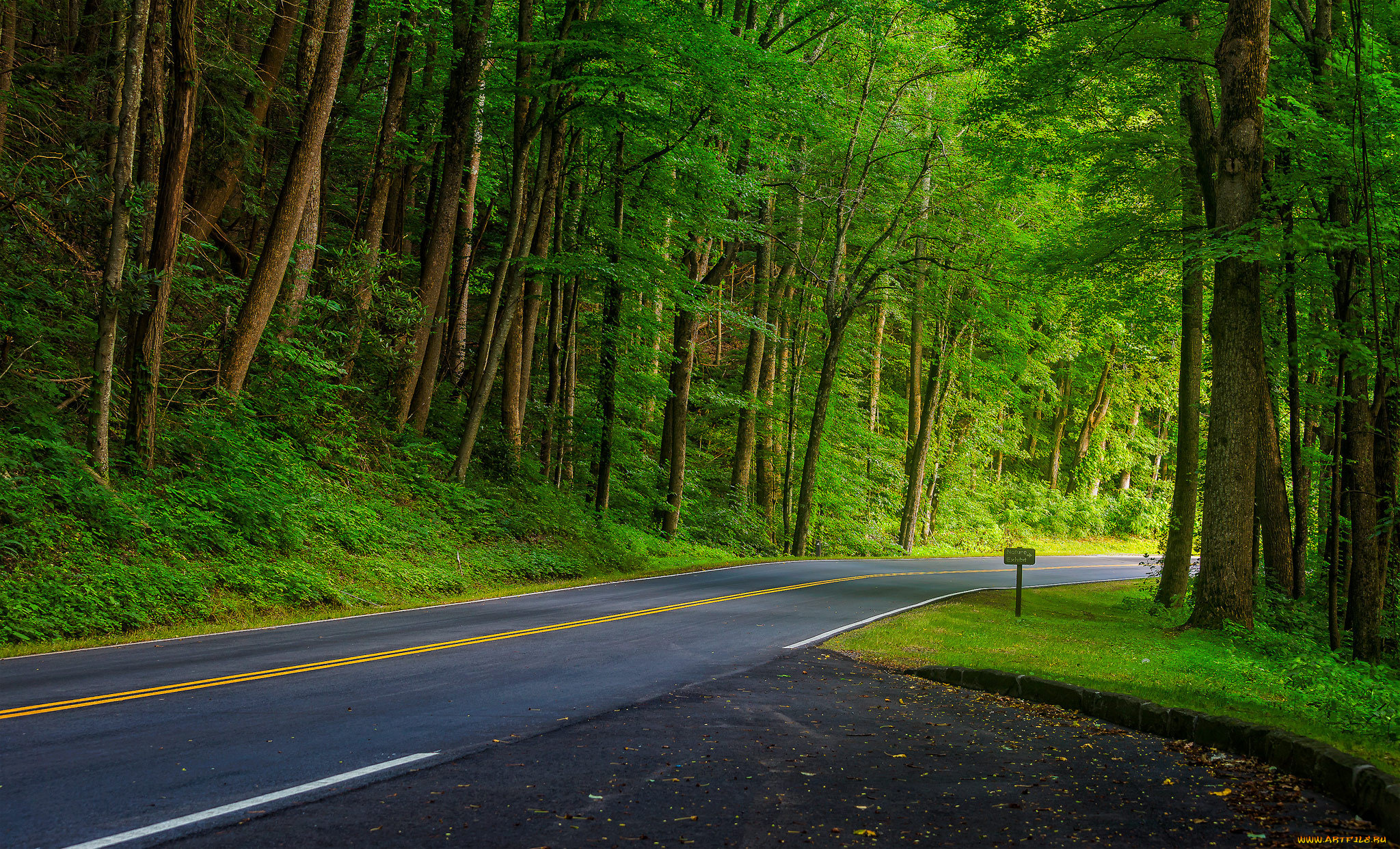 природа, дороги, тракт