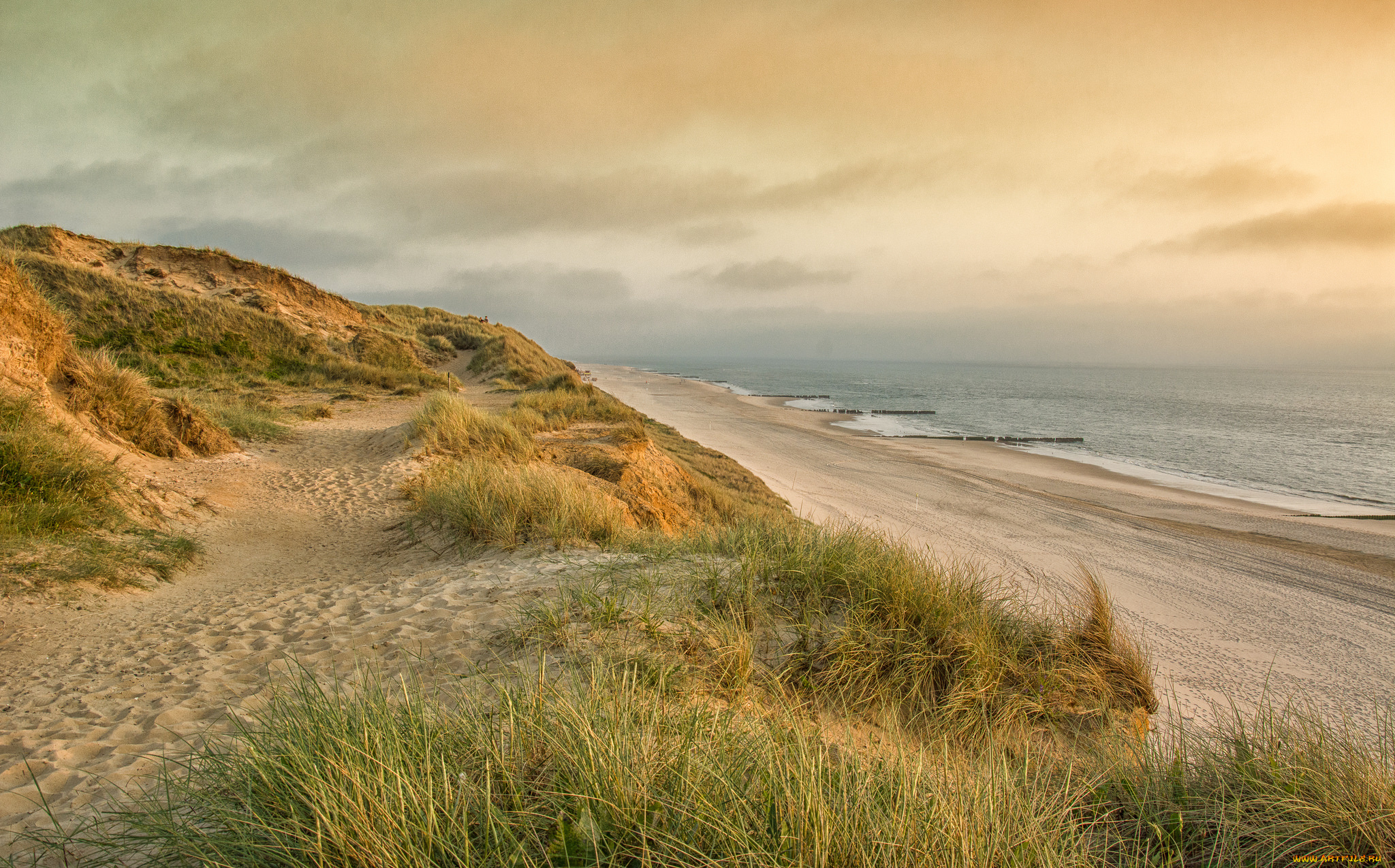 природа, побережье, берег, море