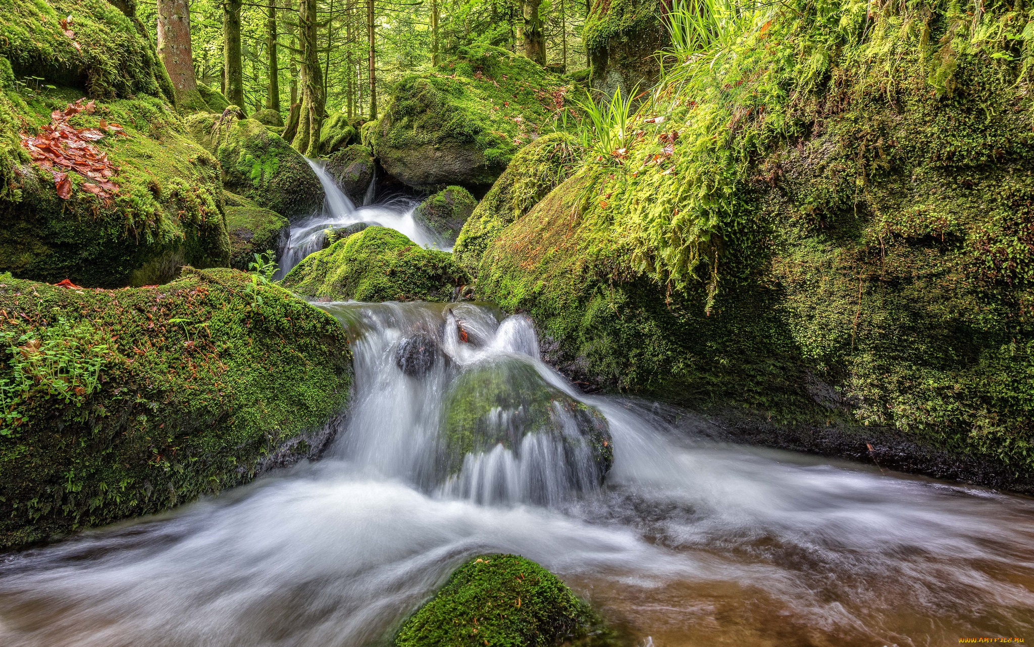 природа, водопады, водопад, река, лес