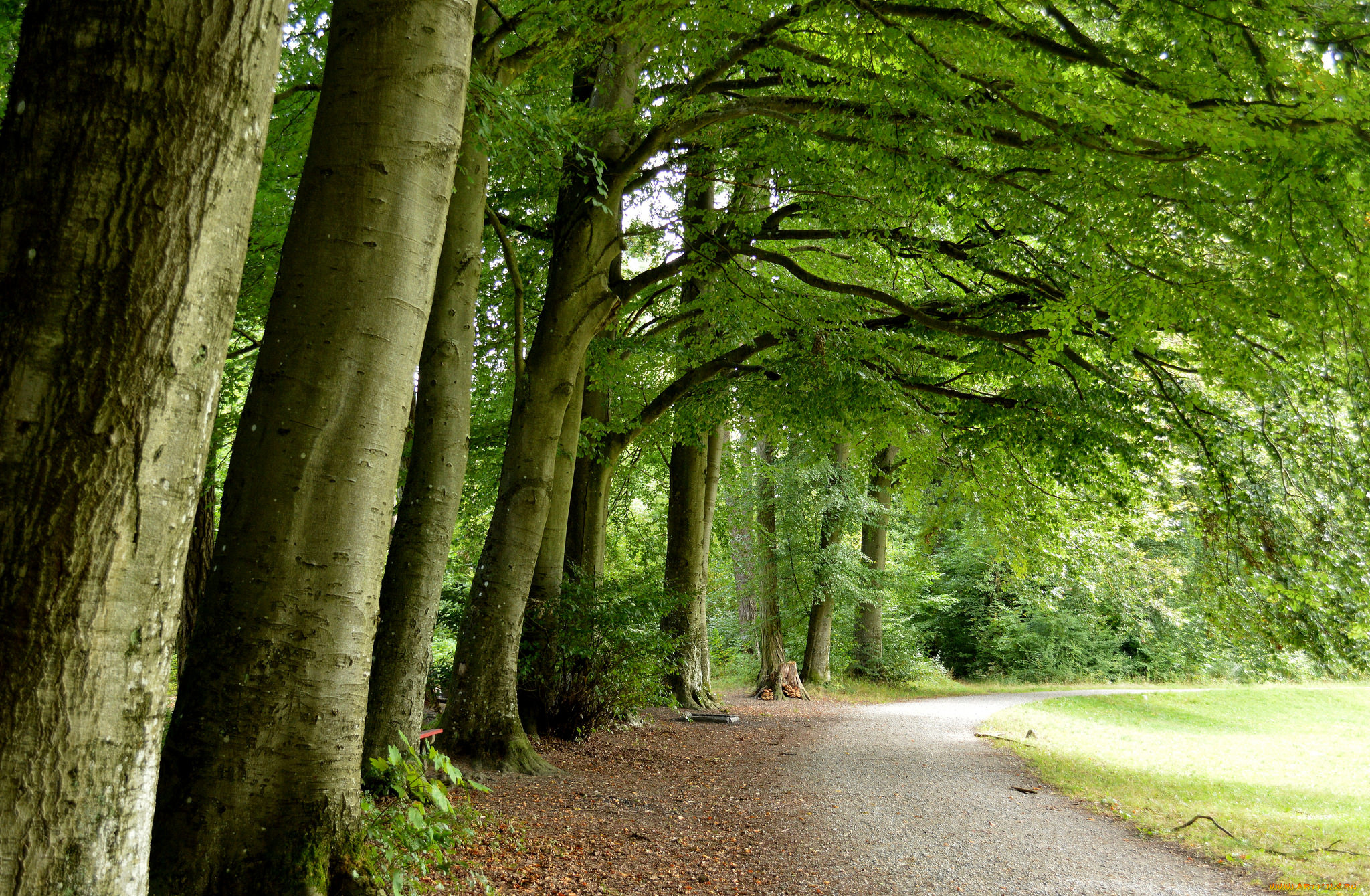 природа, дороги, тракт