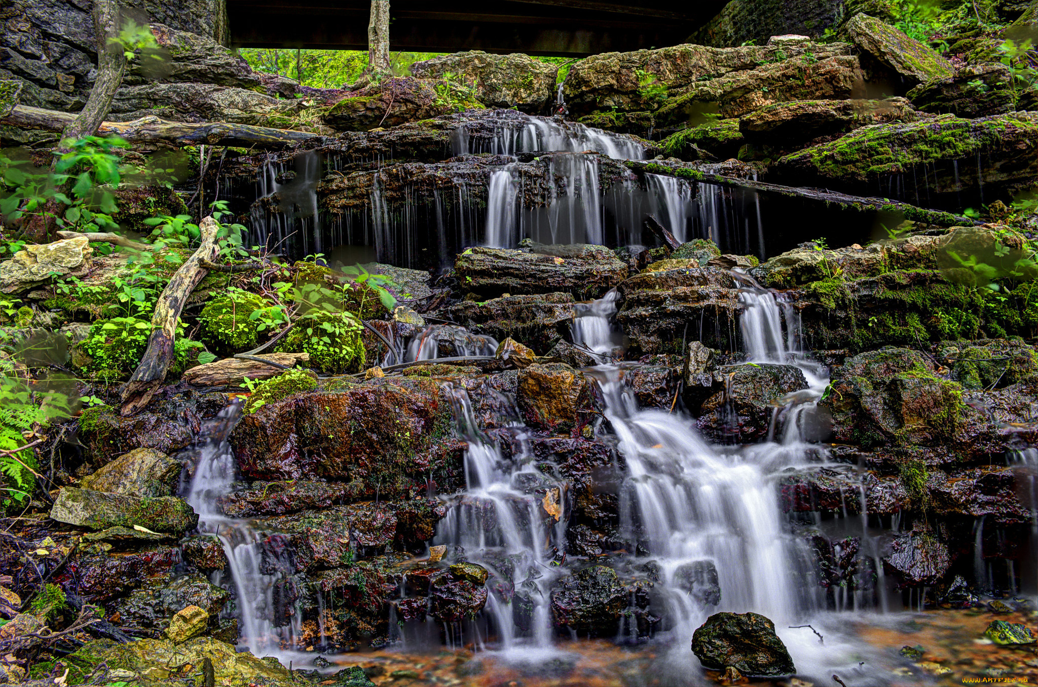 природа, водопады, лес, река, водопад