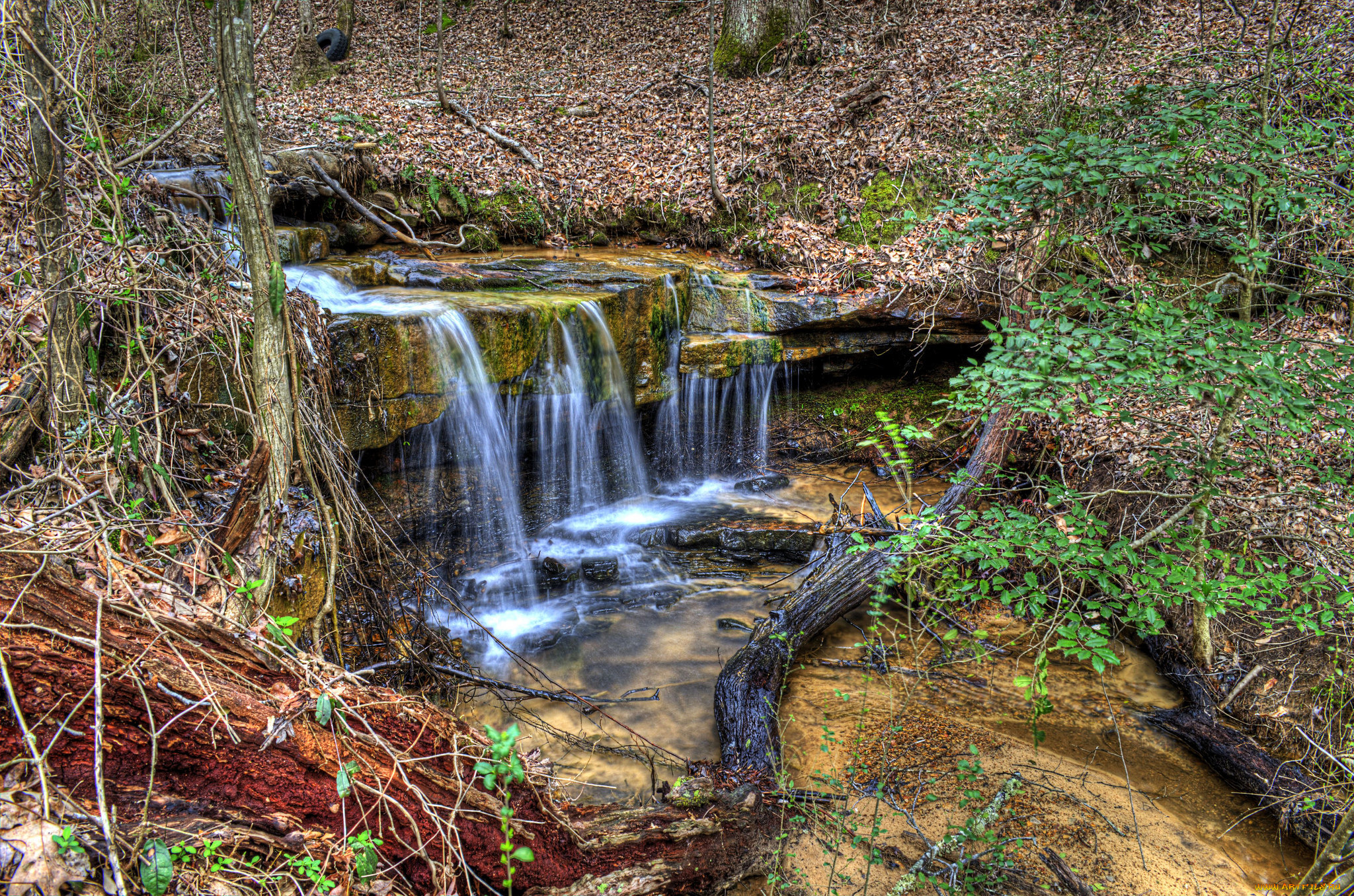 природа, водопады, водопад, река, лес