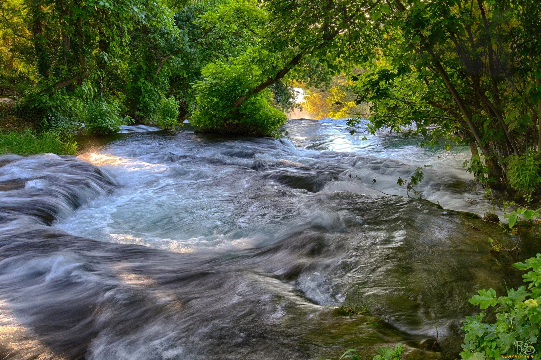 природа, реки, озера, река, лес