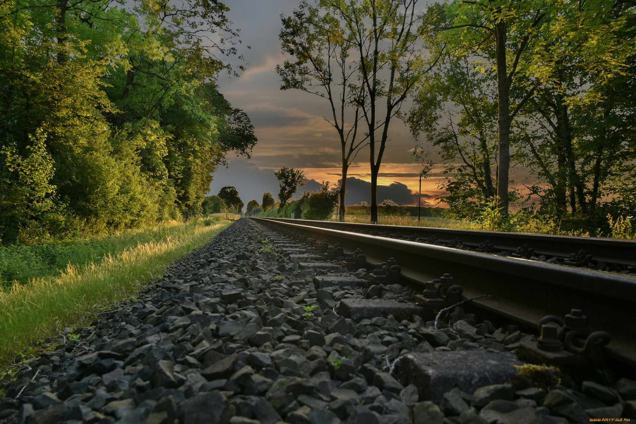 природа, дороги, тракт