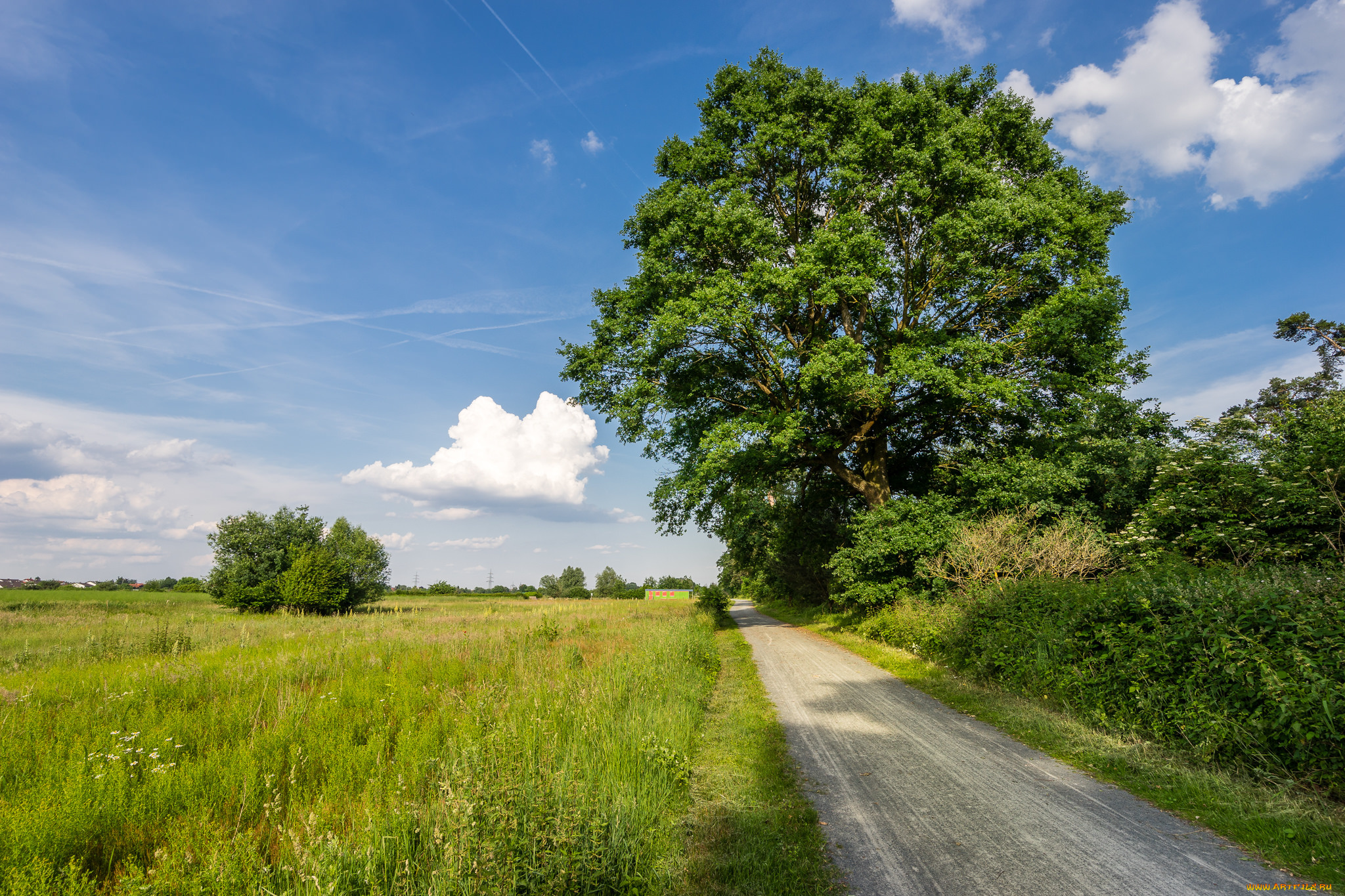 природа, дороги, тракт