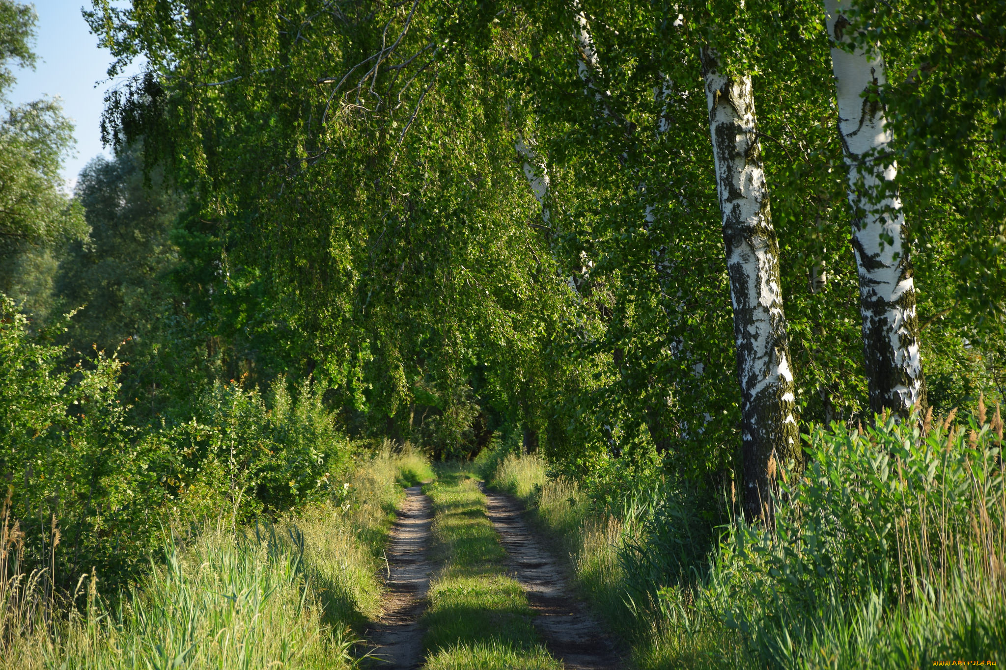 природа, дороги, тракт