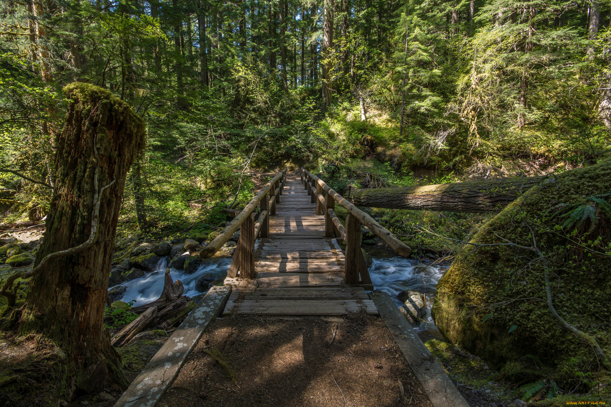 природа, дороги, тракт