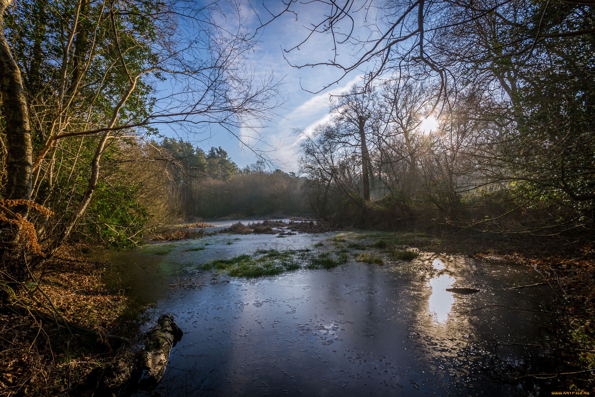 природа, реки, озера, лес, река