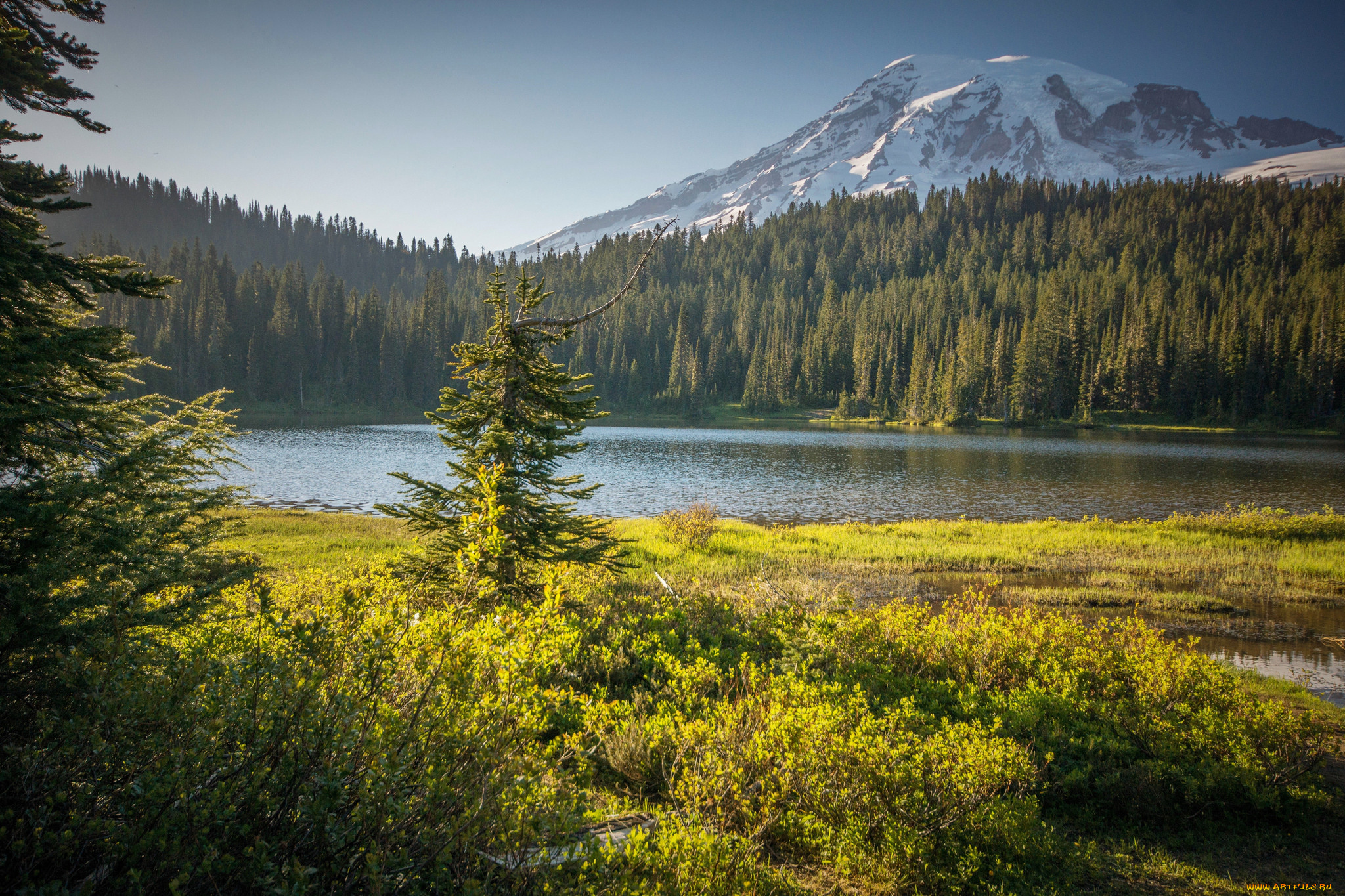 природа, реки, озера, река, лес