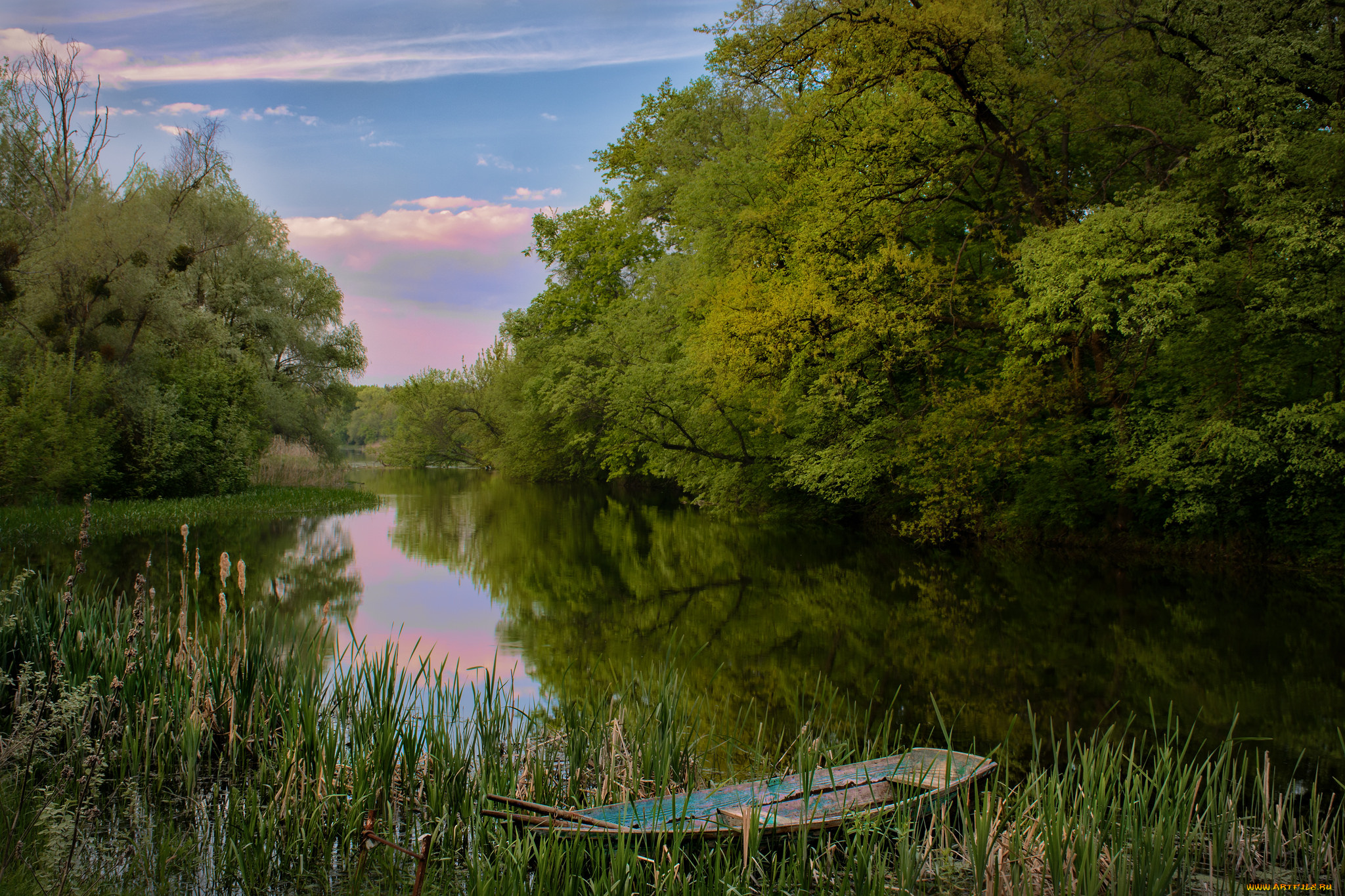 природа, реки, озера, река, лес