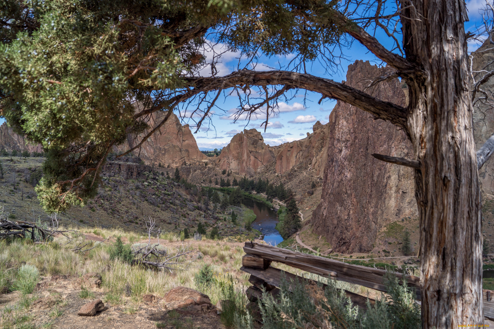 природа, реки, озера, река, лес