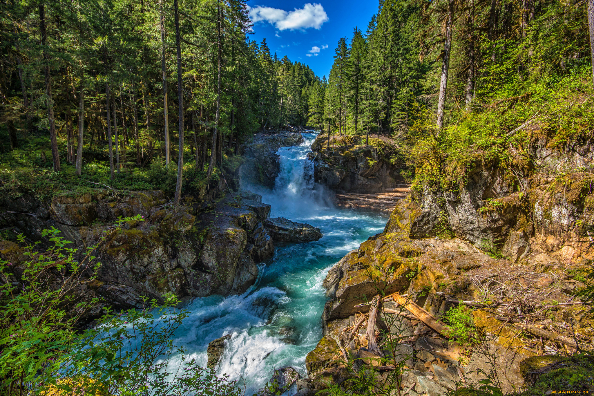природа, водопады, лес, водопад, река