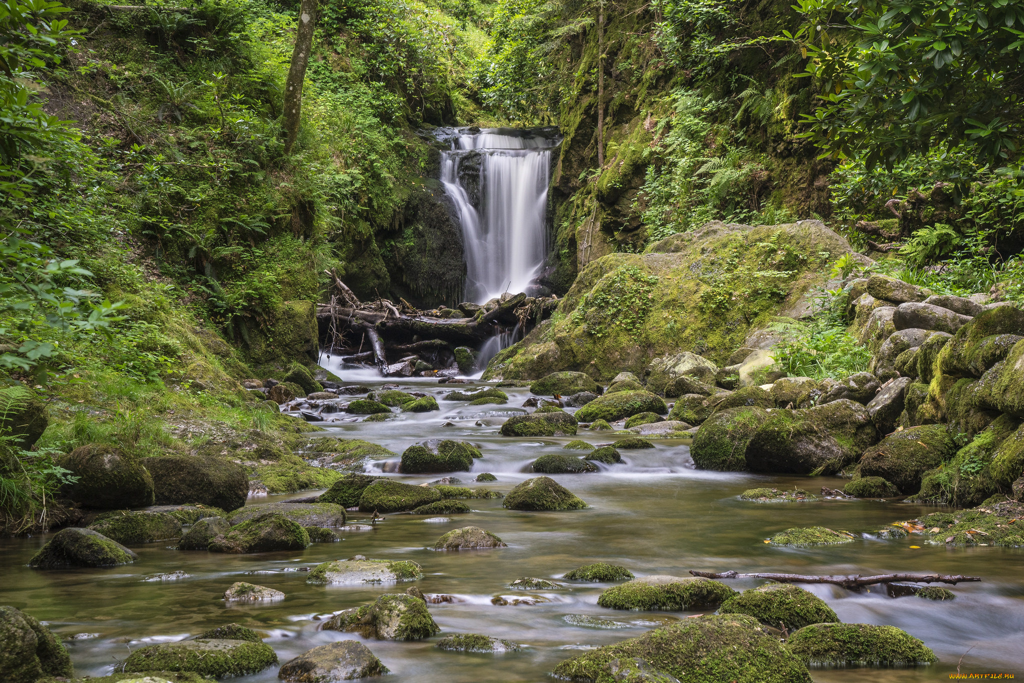 природа, водопады, река, лес, водопад