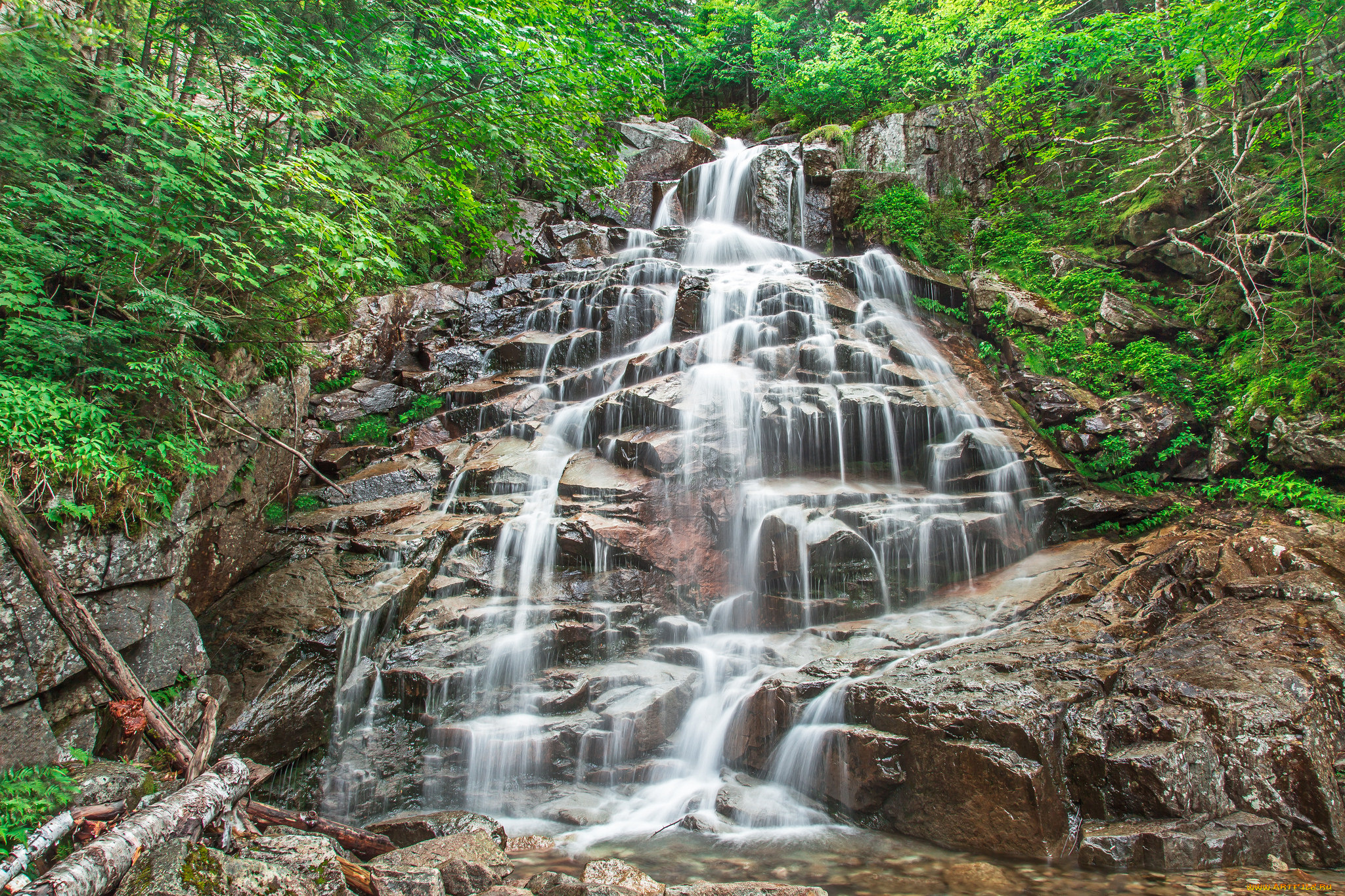 природа, водопады, река, водопад, лес