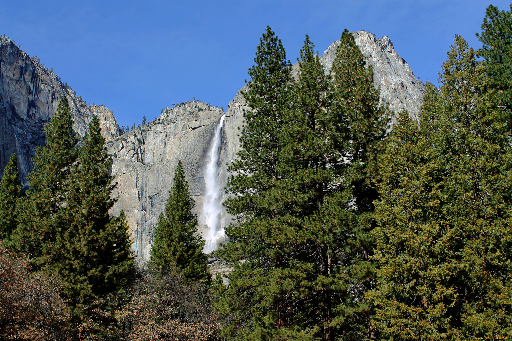 природа, водопады, водопад, река, лес
