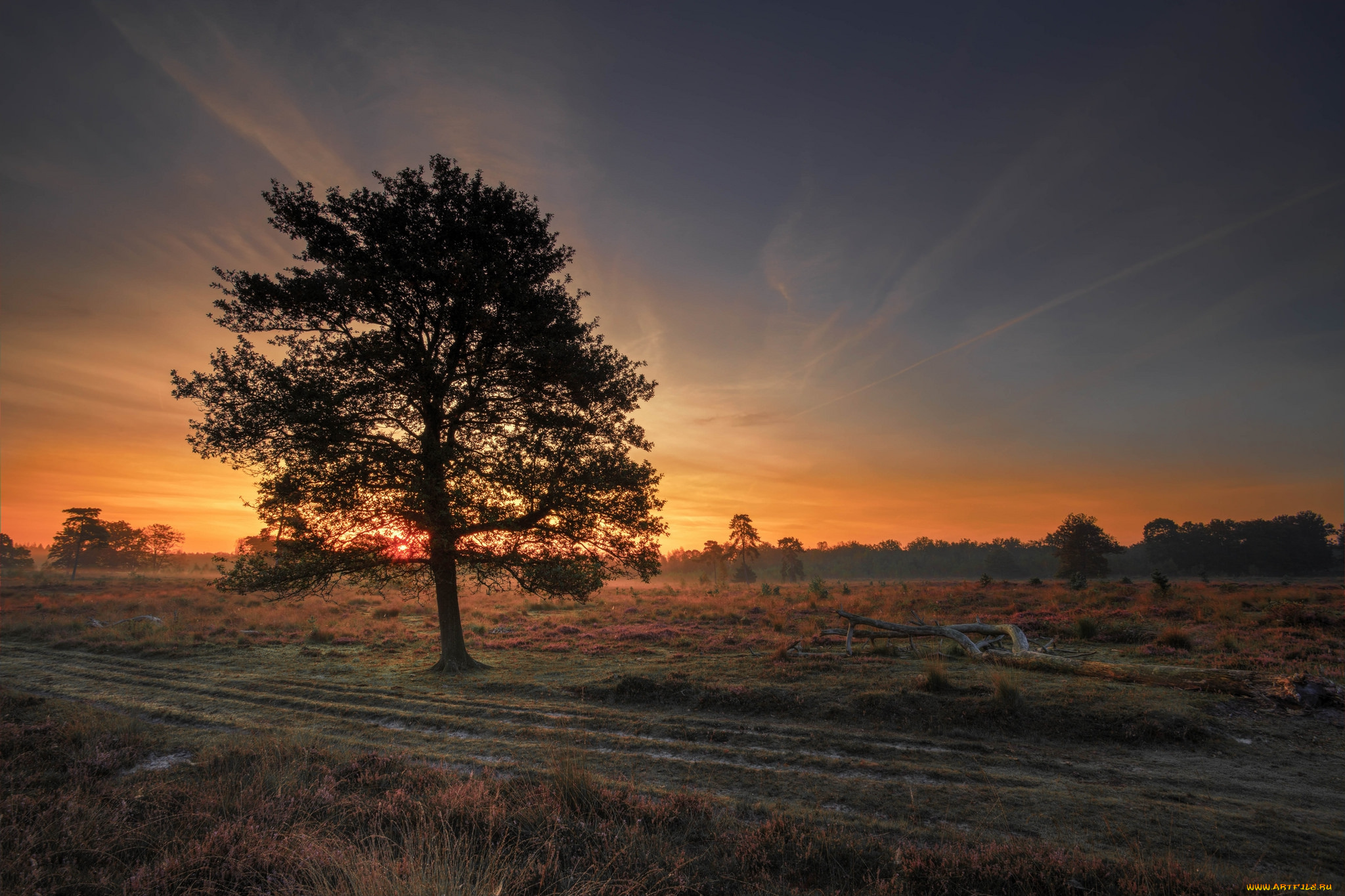 природа, восходы, закаты, рассвет