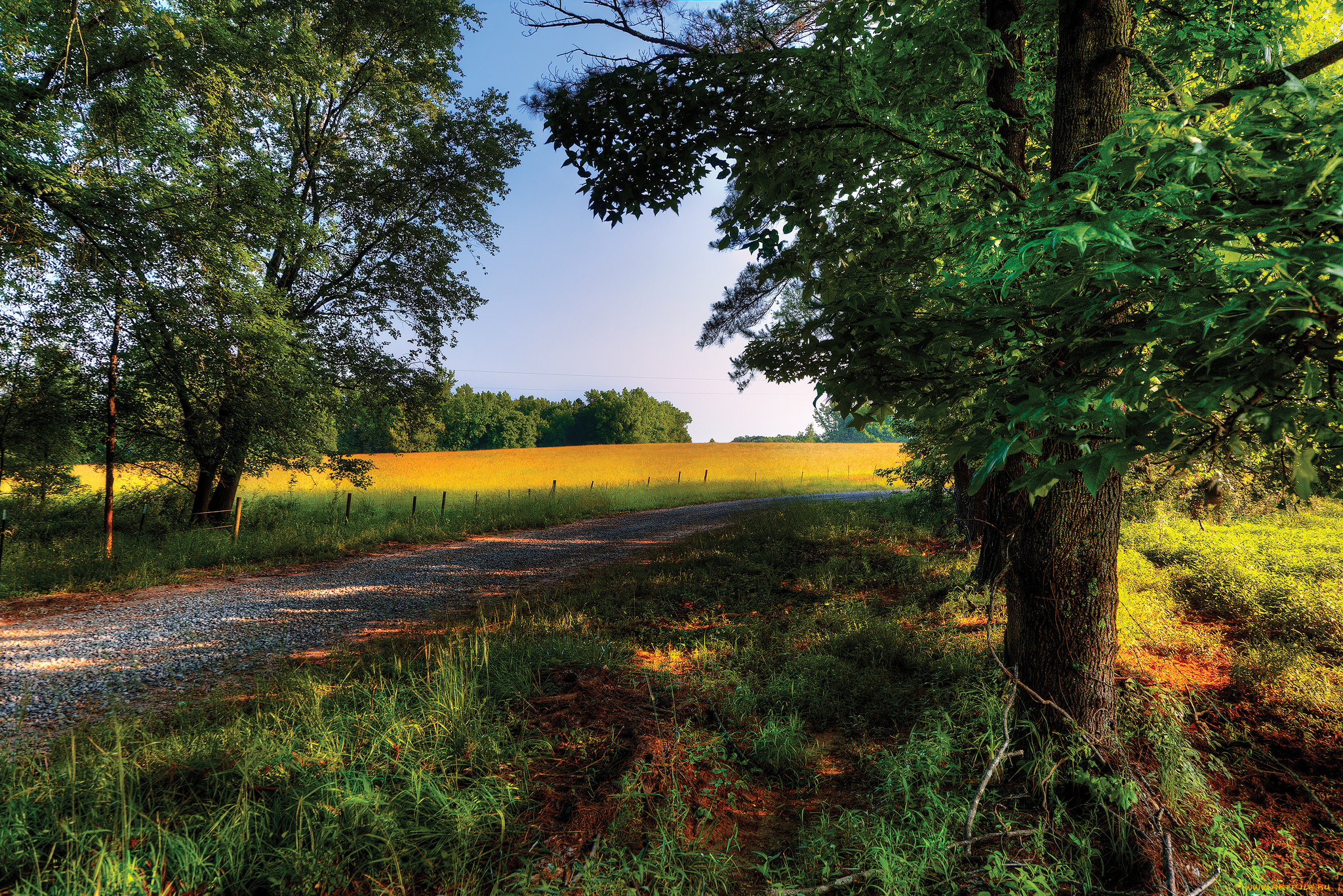 природа, дороги, тракт