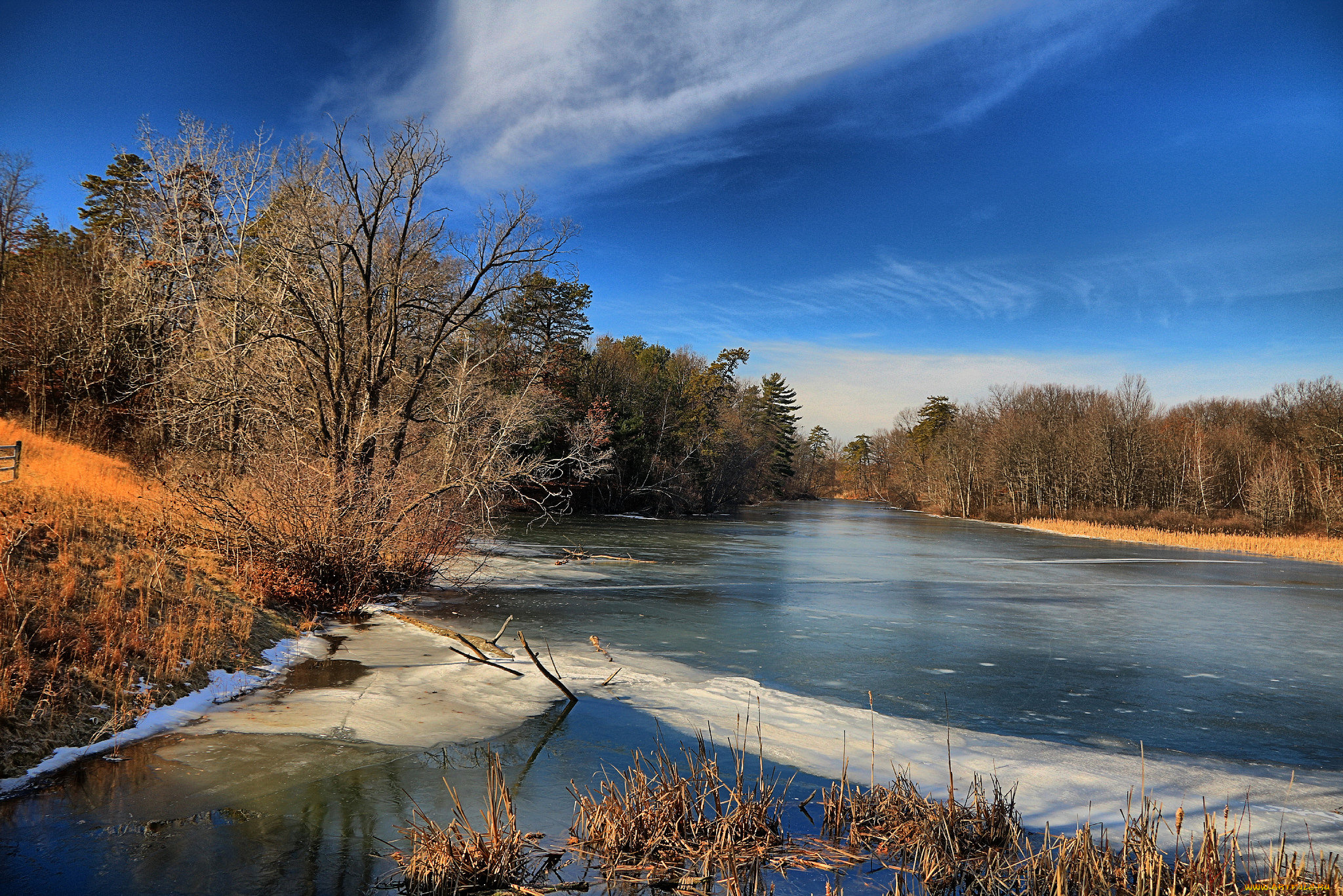 природа, реки, озера, река, лес