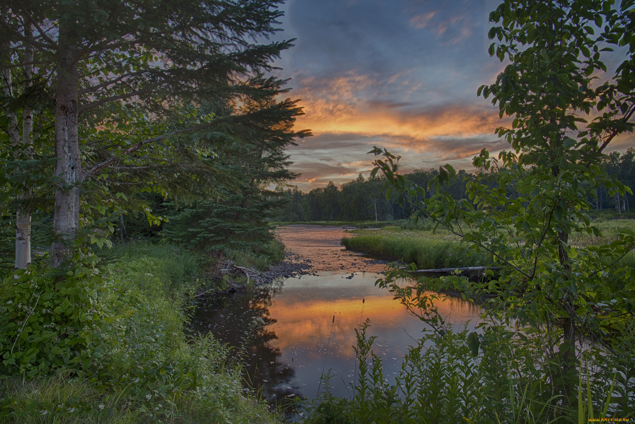 природа, реки, озера, лес, река